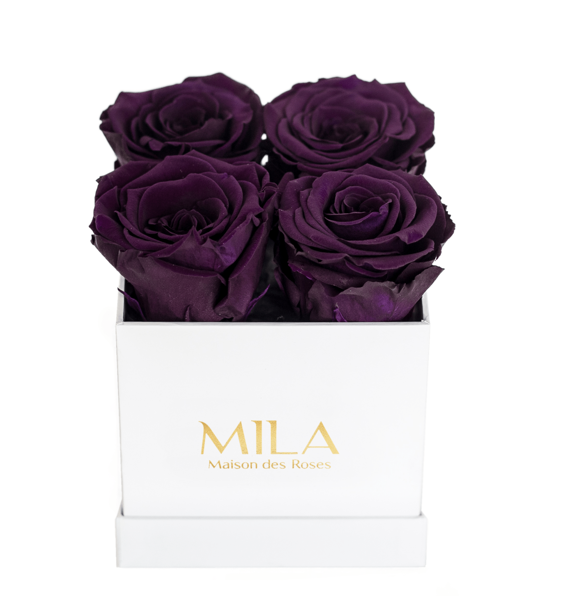 Mila Classique Mini - Mila Rose