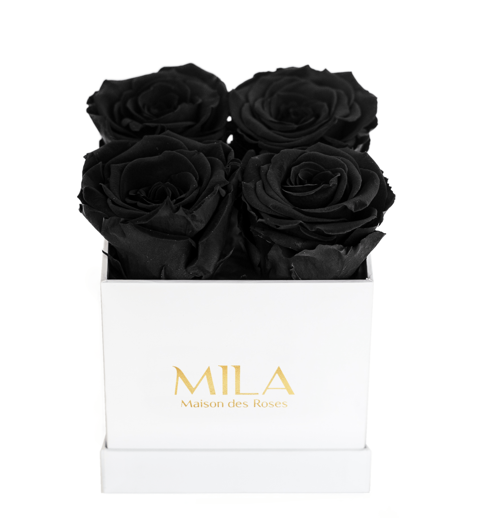 Mila Classique Mini - Mila Rose