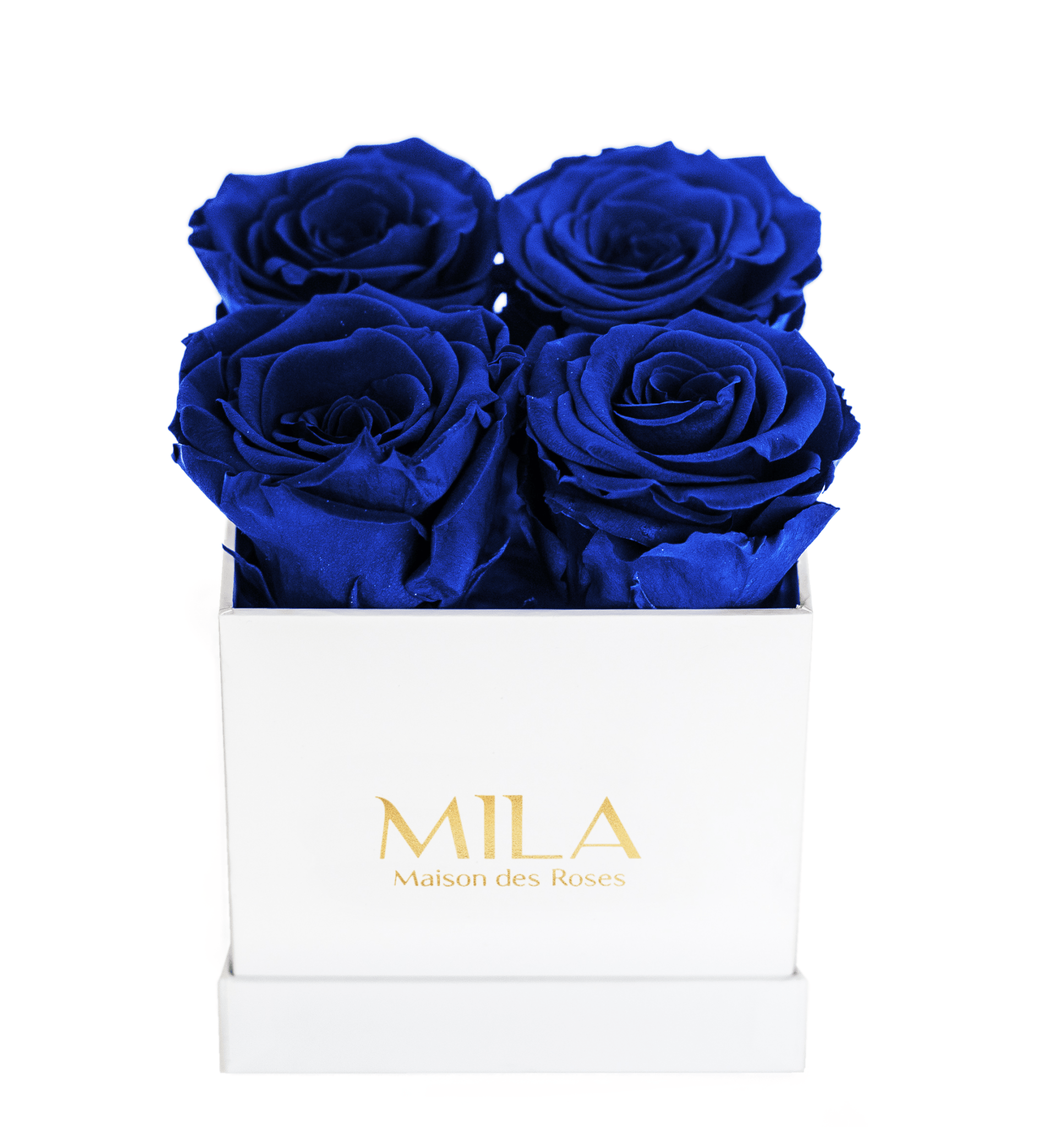 Mila Classique Mini - Mila Rose