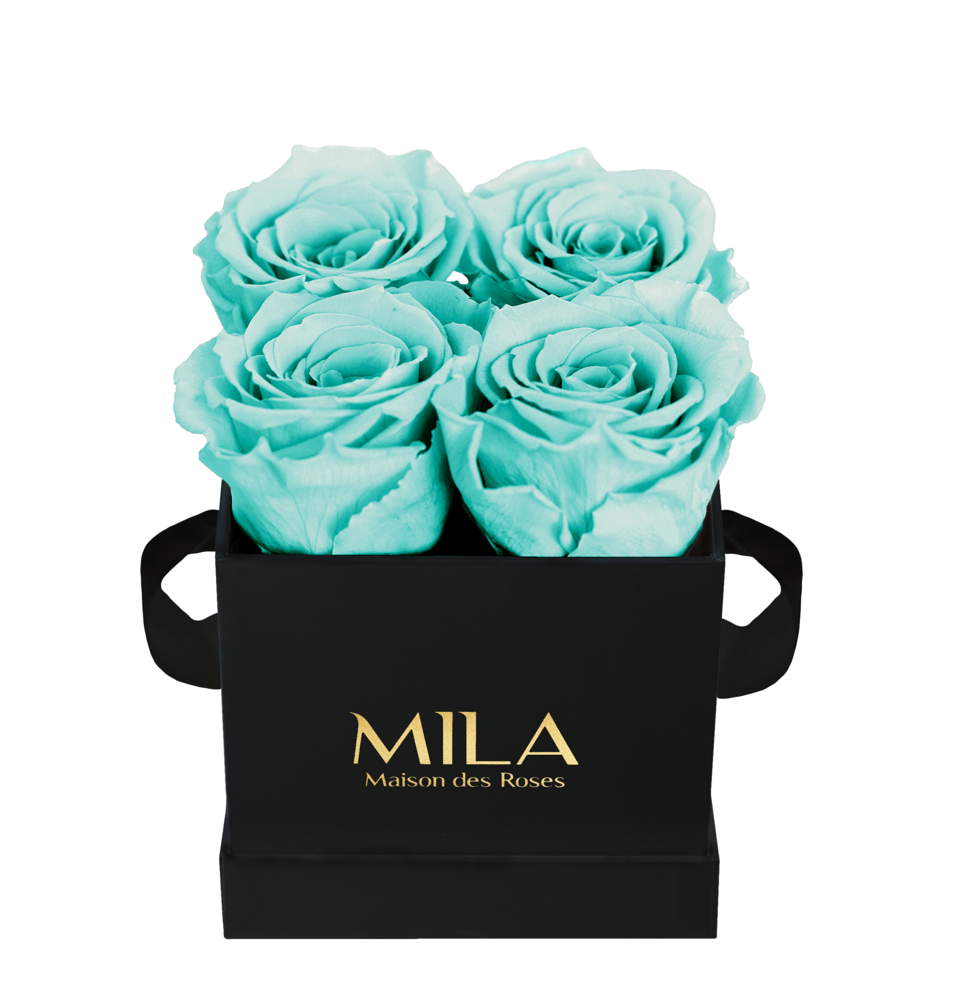 Mila Classique Mini - Mila Rose