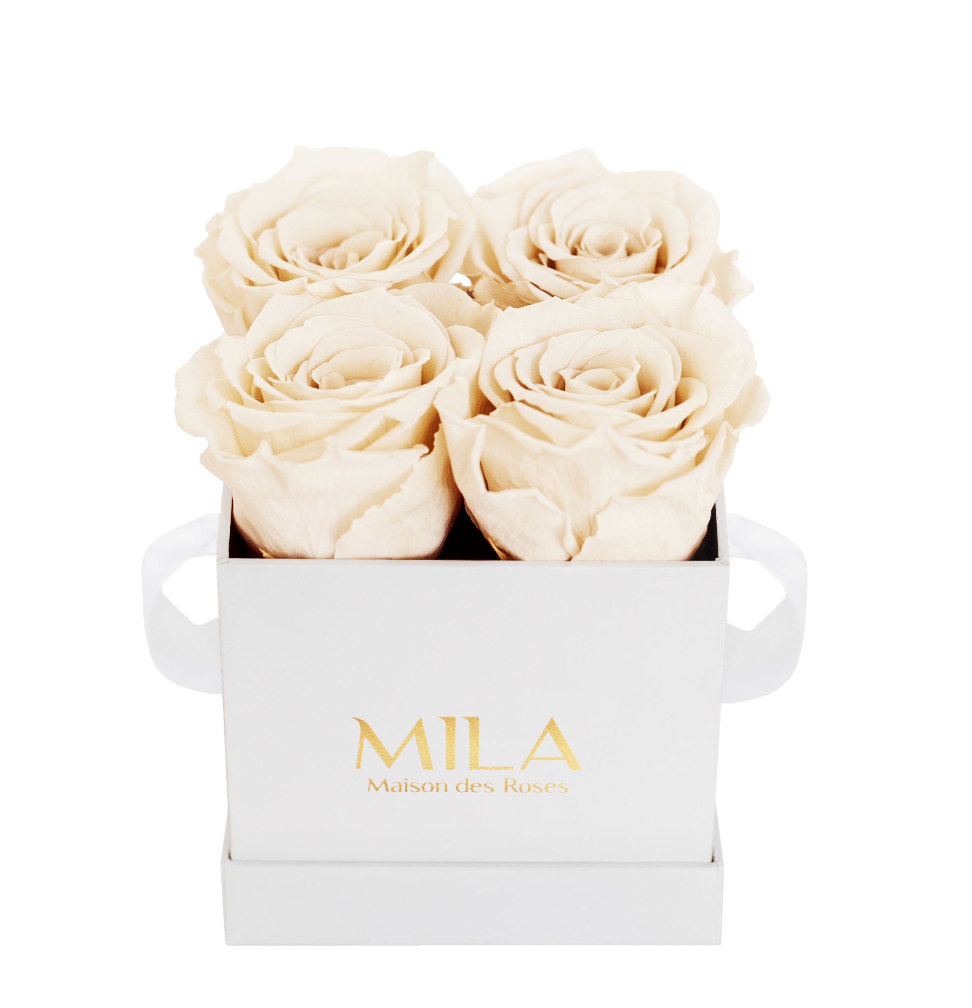 Mila Classique Mini - Mila Rose