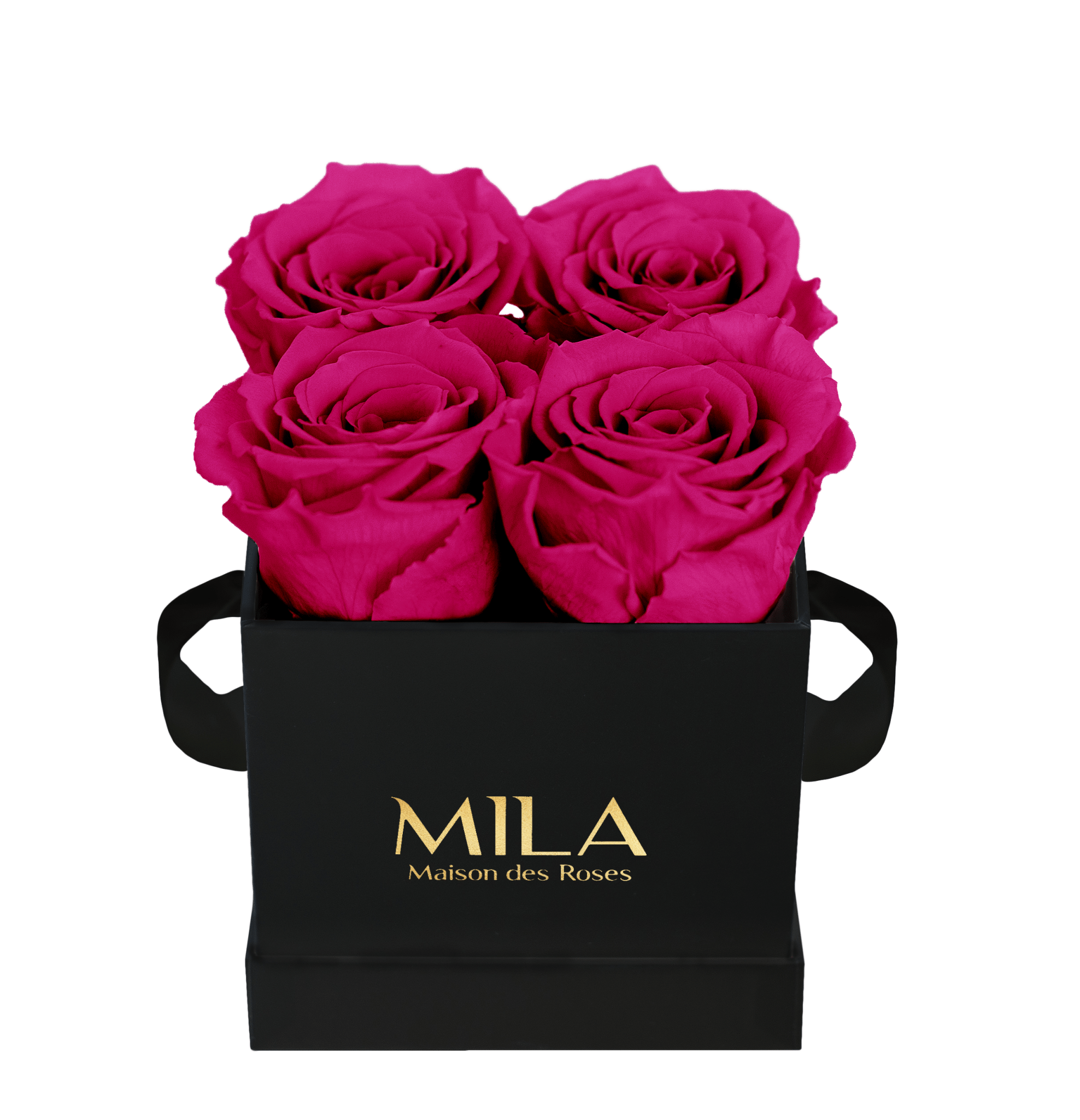 Mila Classique Mini - Mila Rose