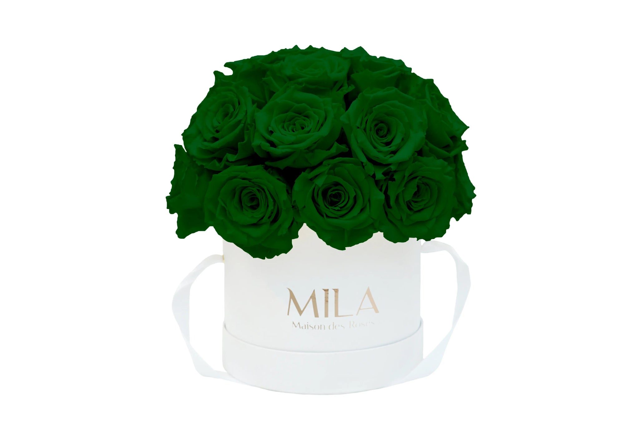 Mila Classique Small Dome - Mila Rose