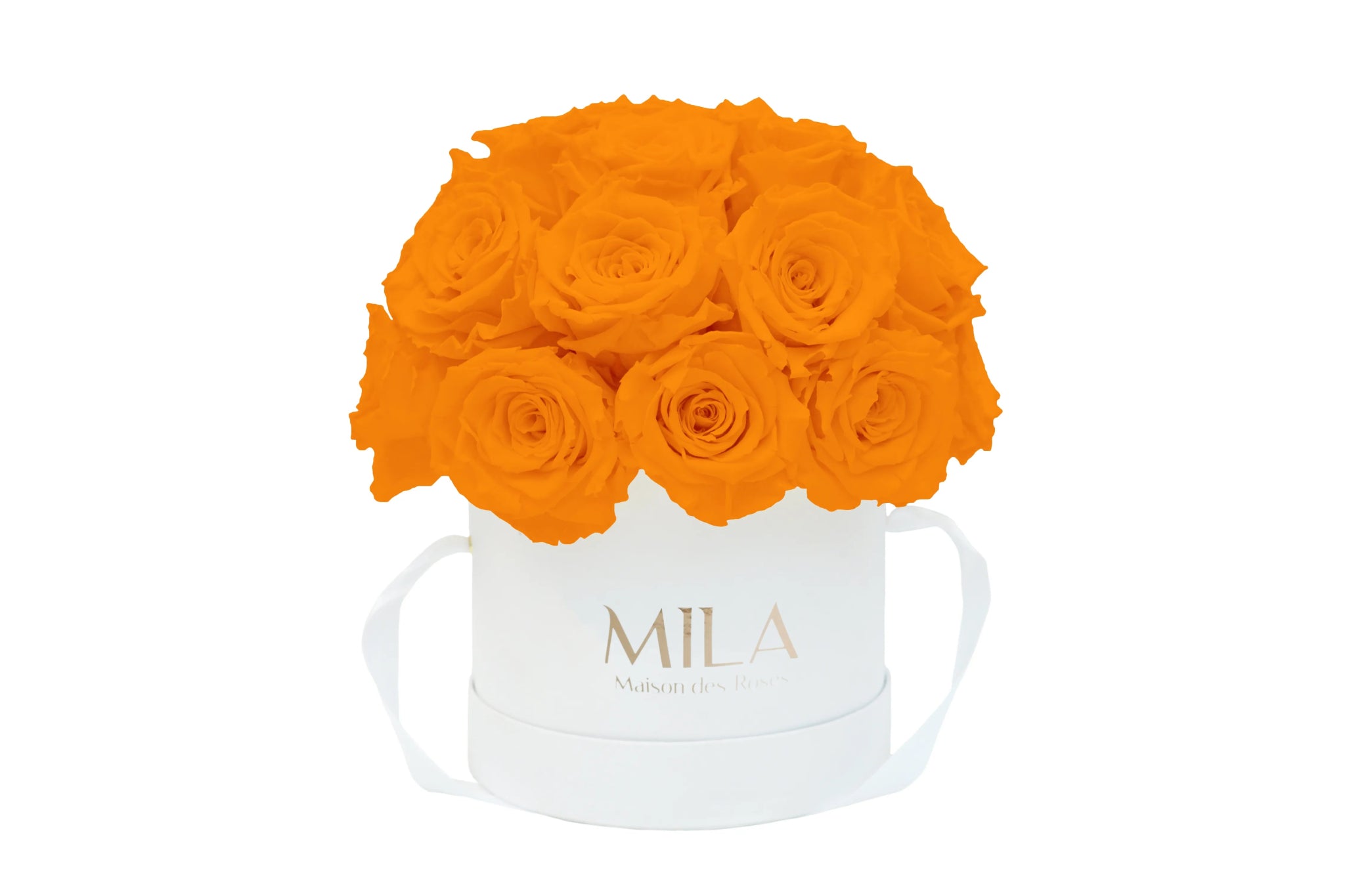 Mila Classique Small Dome - Mila Rose