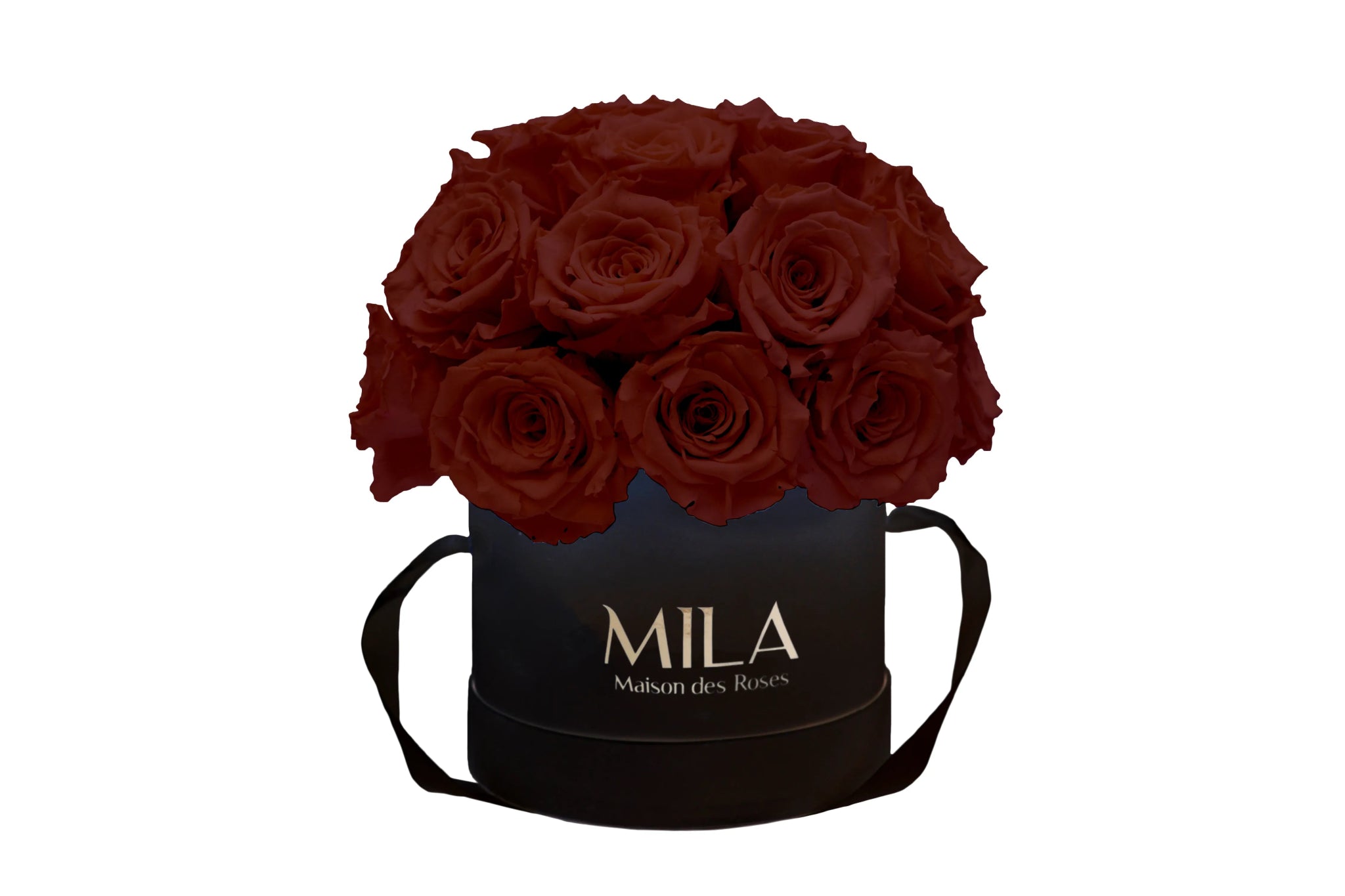 Mila Classique Small Dome - Mila Rose