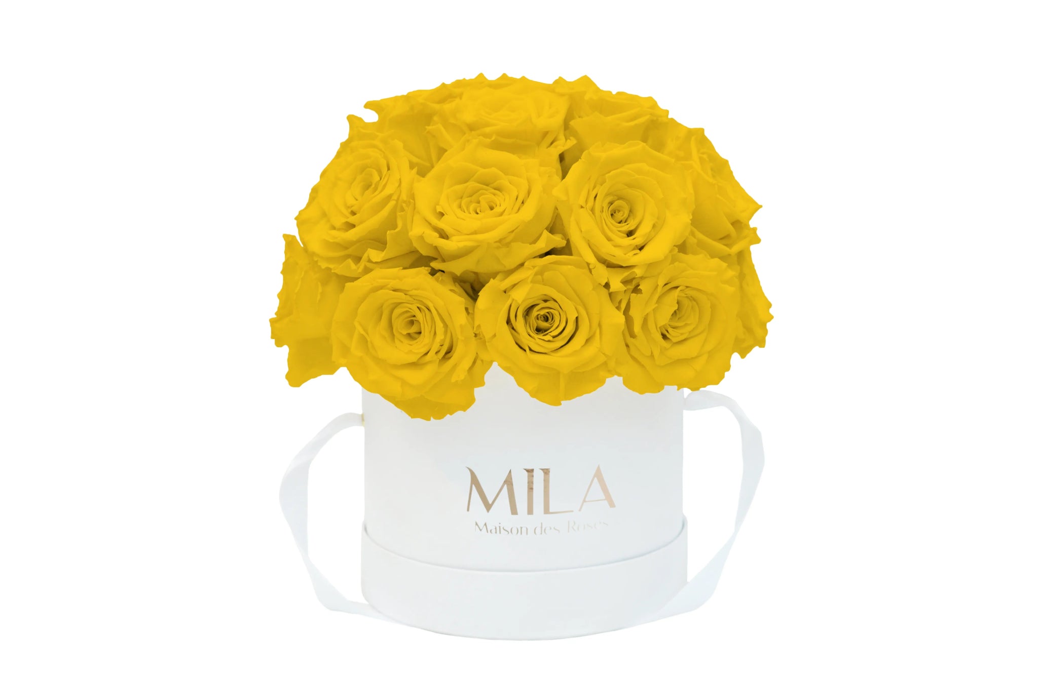 Mila Classique Small Dome - Mila Rose