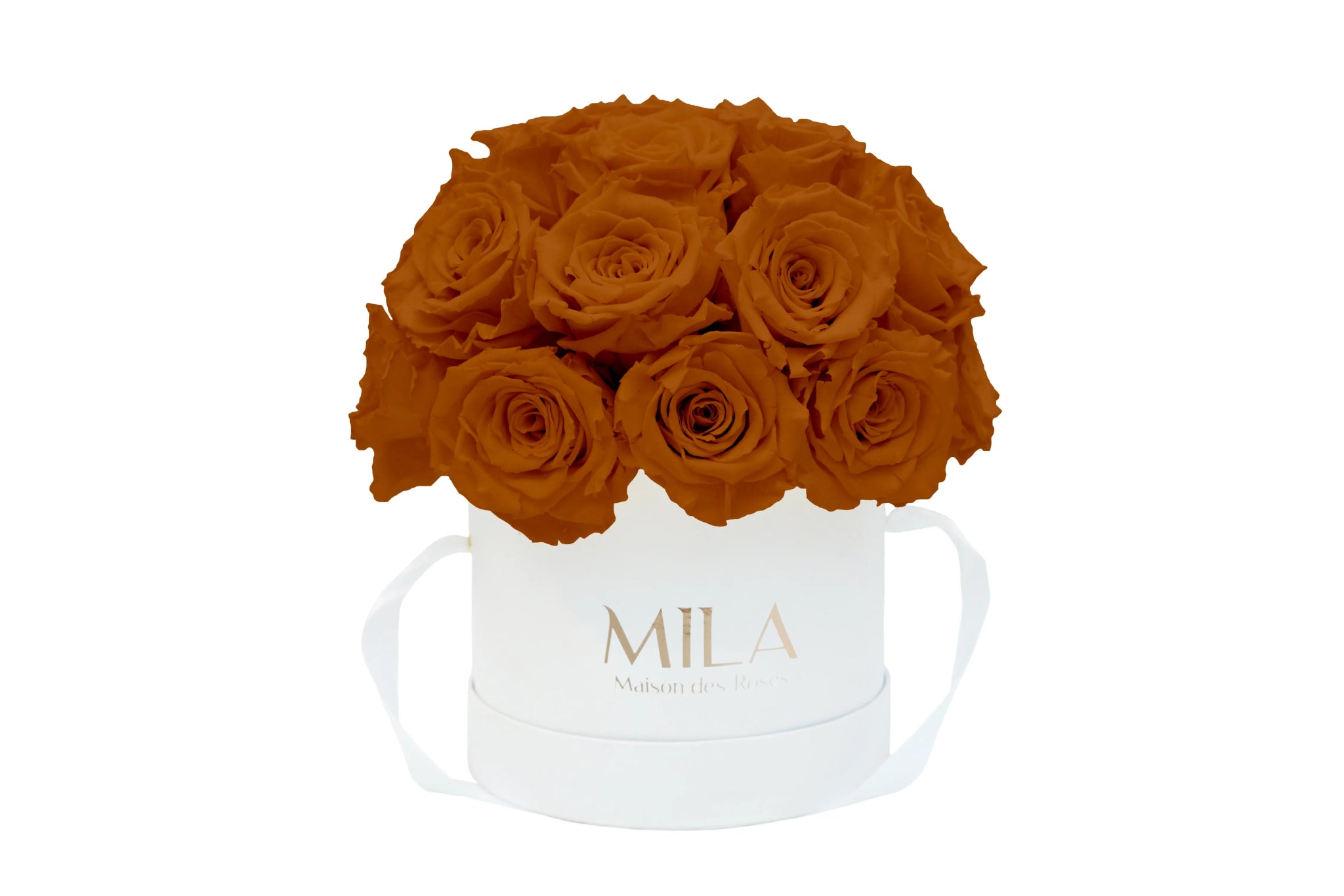 Mila Classique Small Dome - Mila Rose