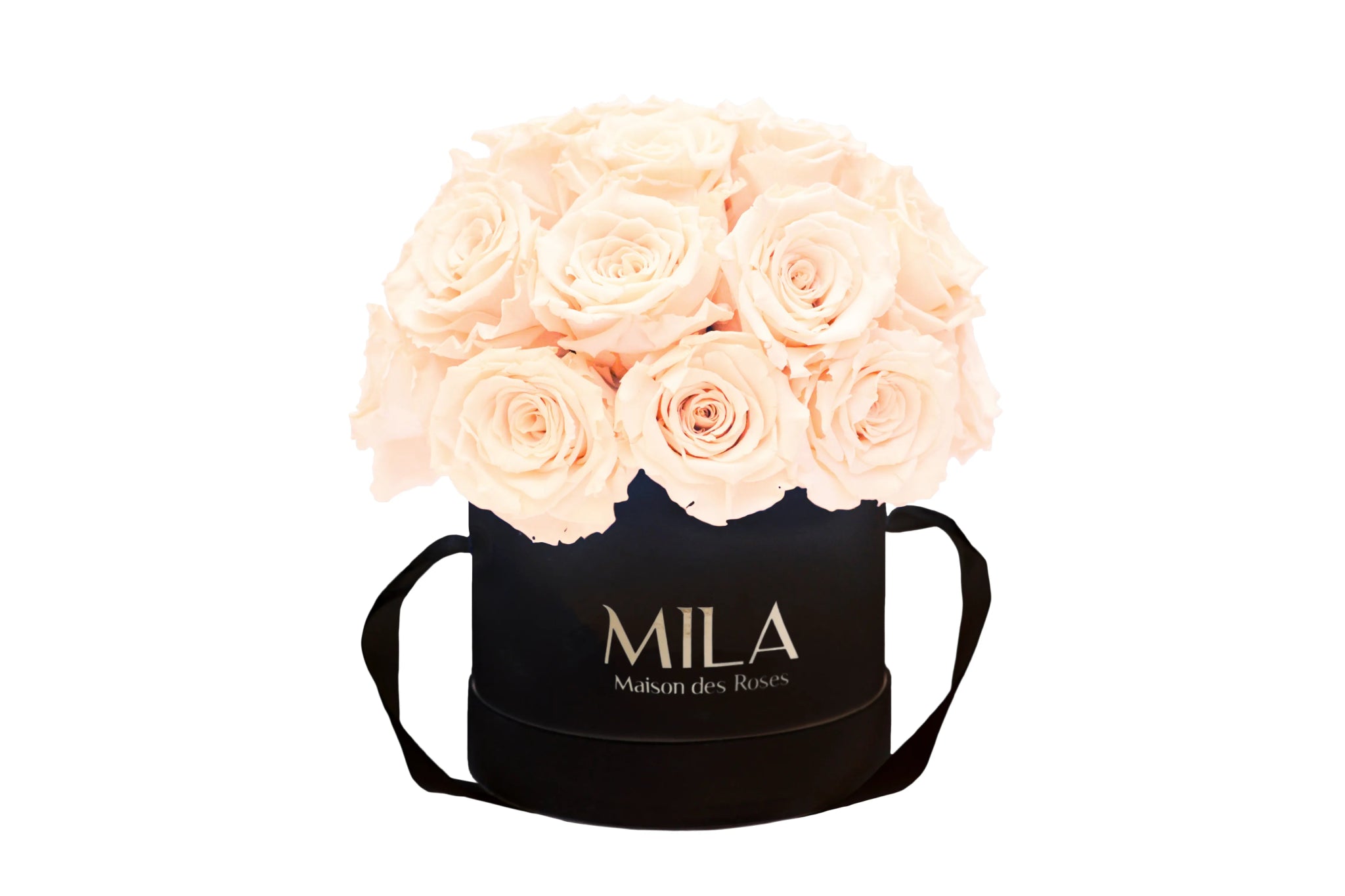 Mila Classique Small Dome - Mila Rose