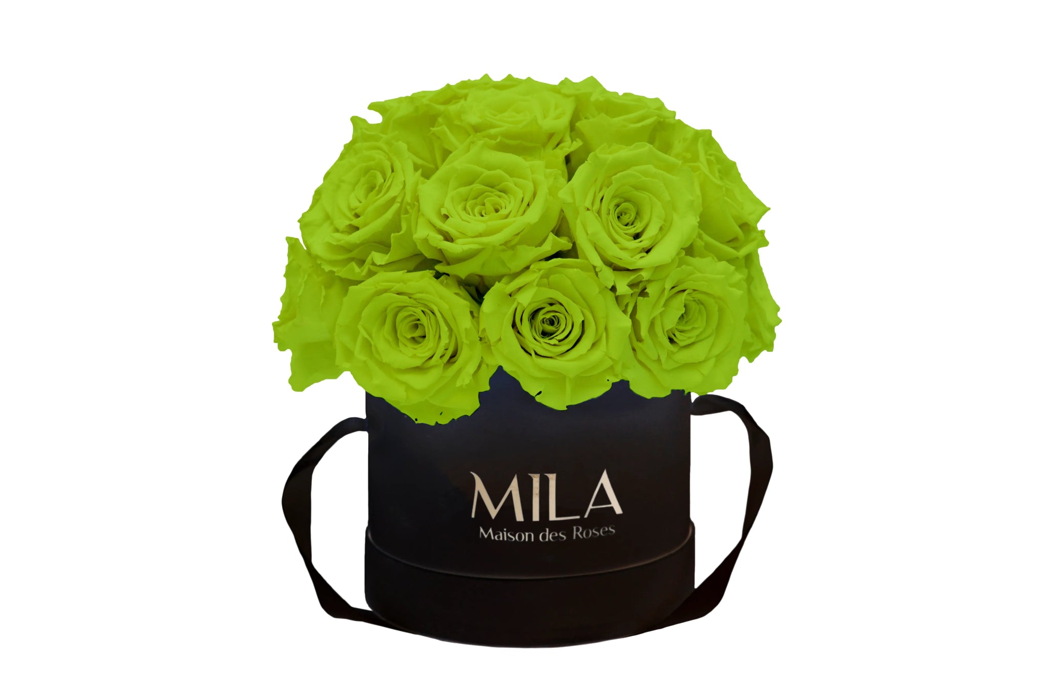 Mila Classique Small Dome - Mila Rose