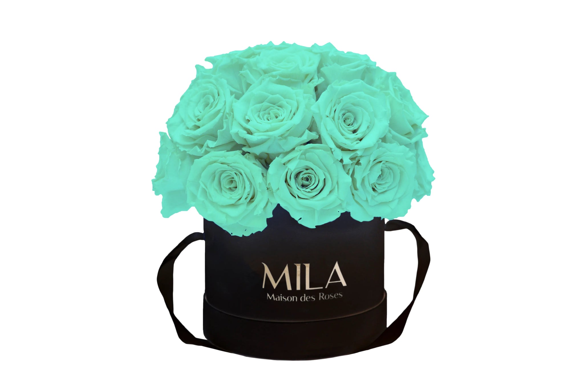 Mila Classique Small Dome - Mila Rose