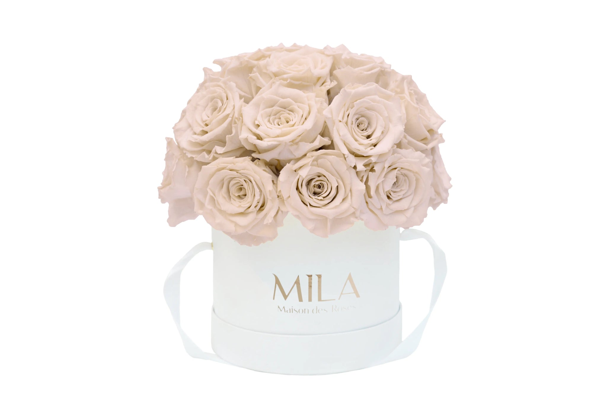 Mila Classique Small Dome - Mila Rose