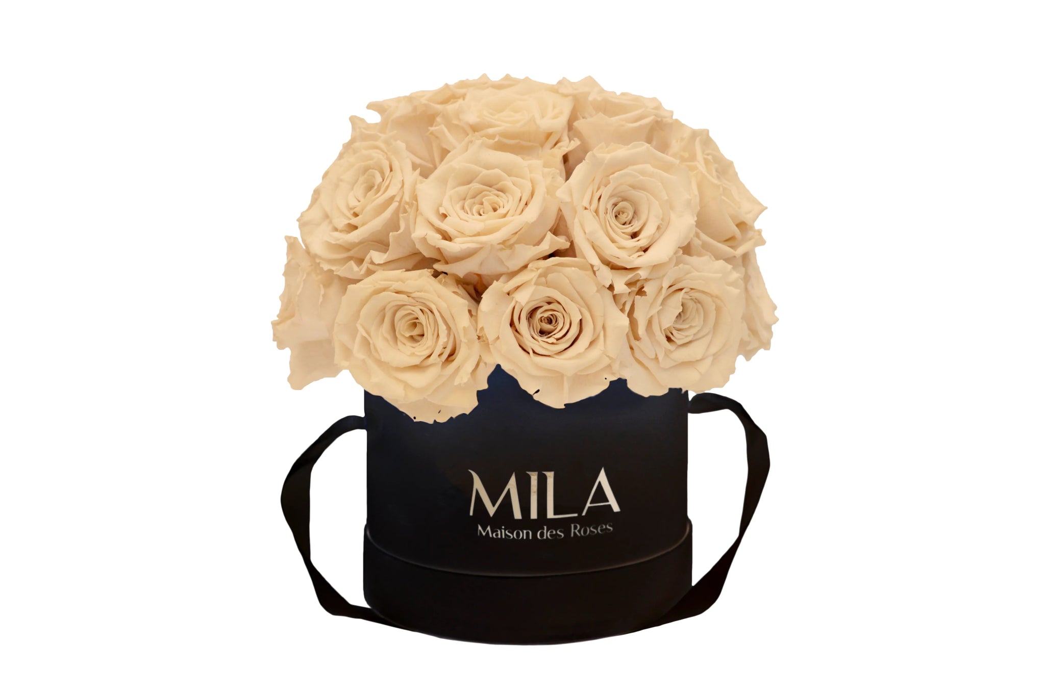 Mila Classique Small Dome - Mila Rose