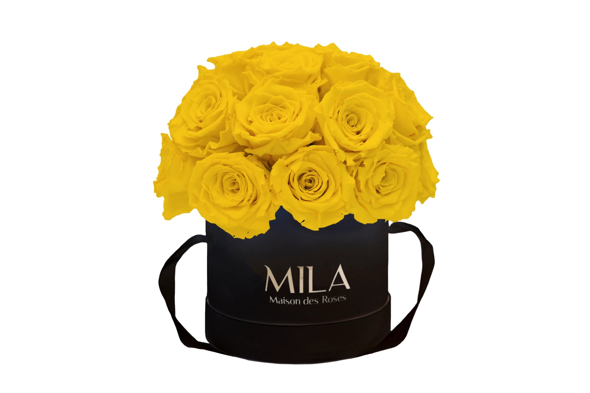 Mila Classique Small Dome - Mila Rose