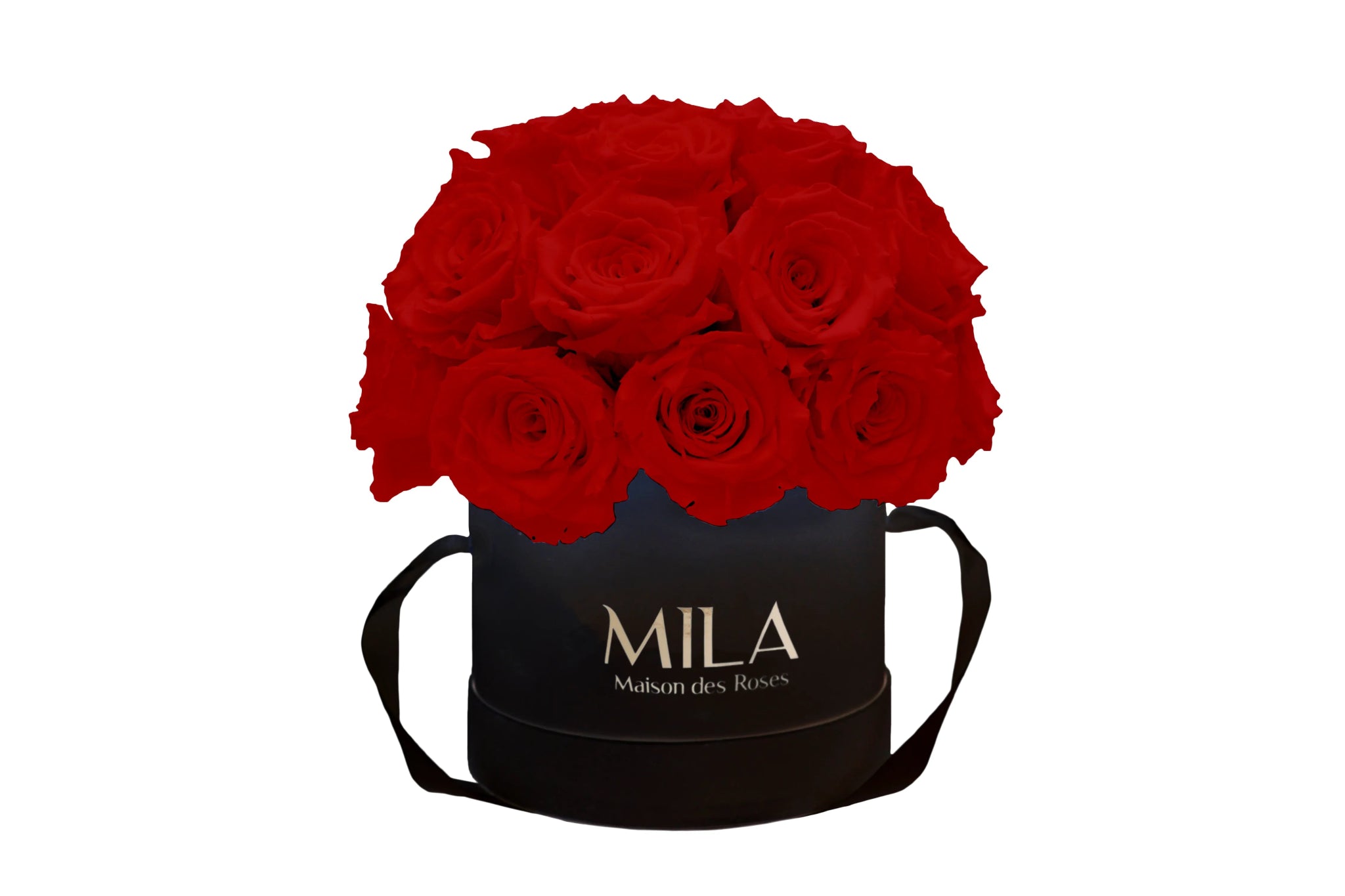 Mila Classique Small Dome - Mila Rose