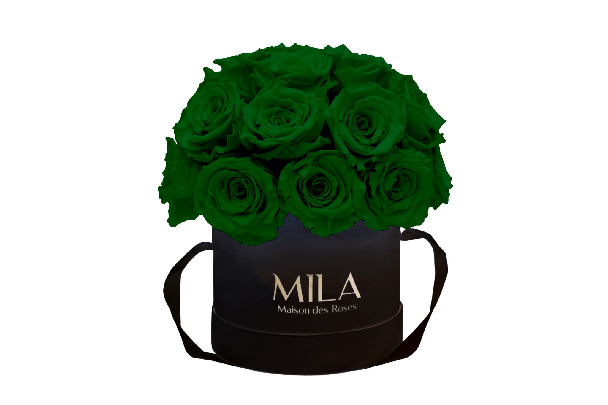 Mila Classique Small Dome - Mila Rose