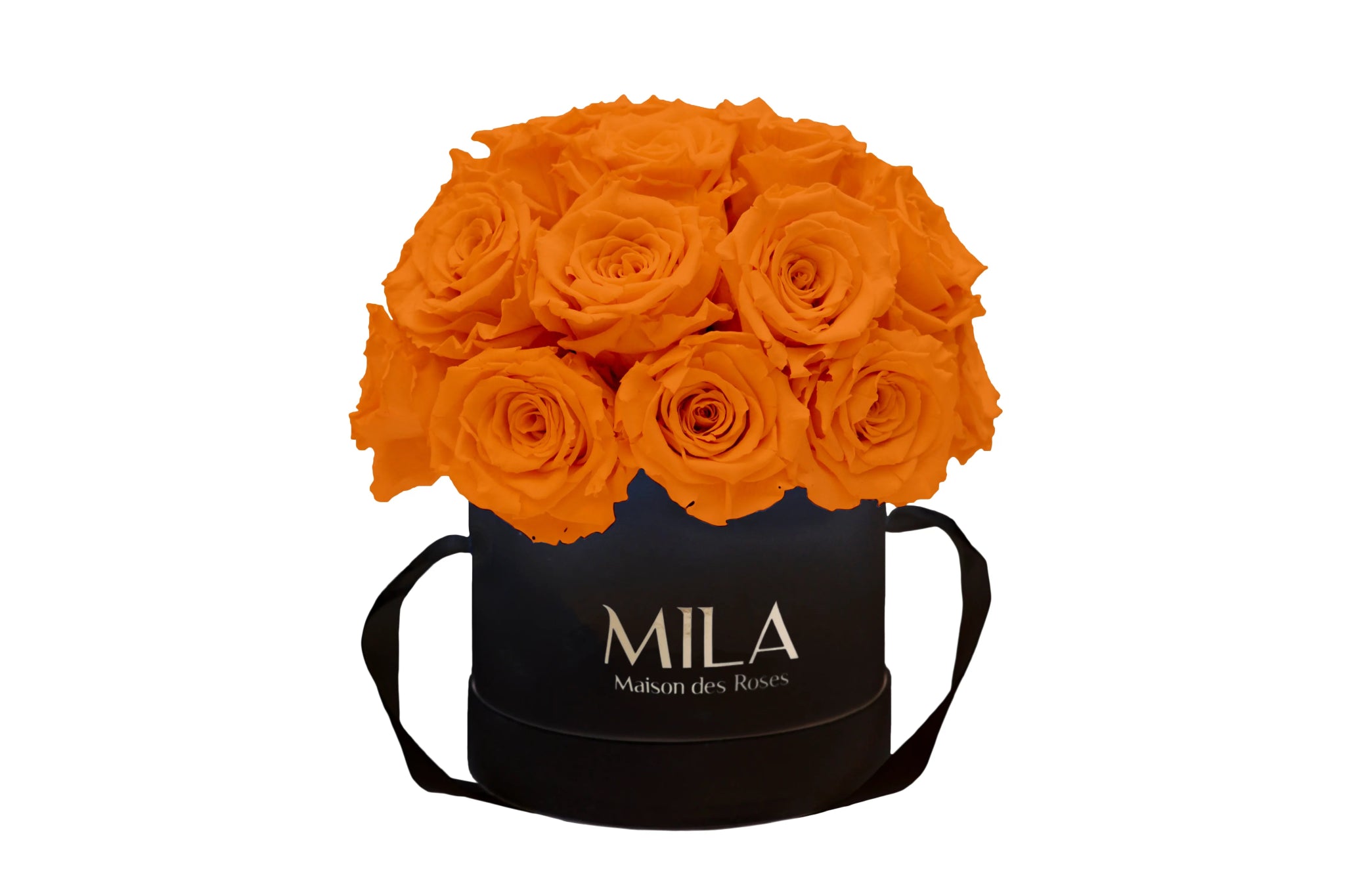 Mila Classique Small Dome - Mila Rose