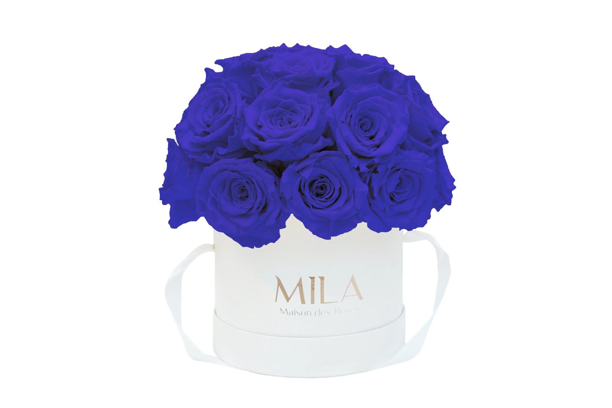 Mila Classique Small Dome - Mila Rose