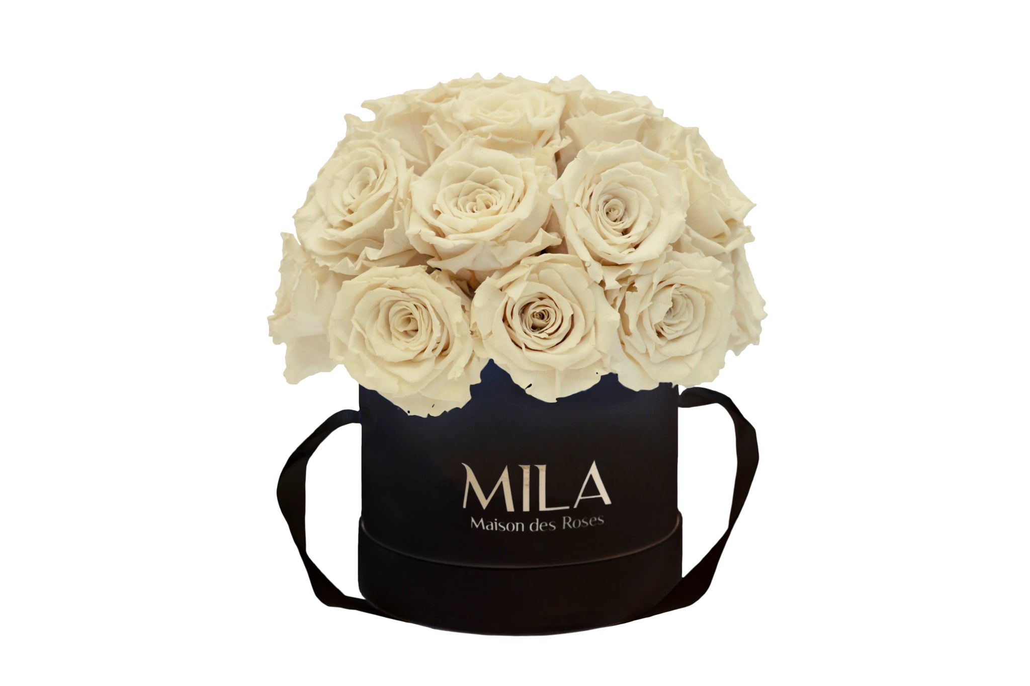 Mila Classique Small Dome - Mila Rose