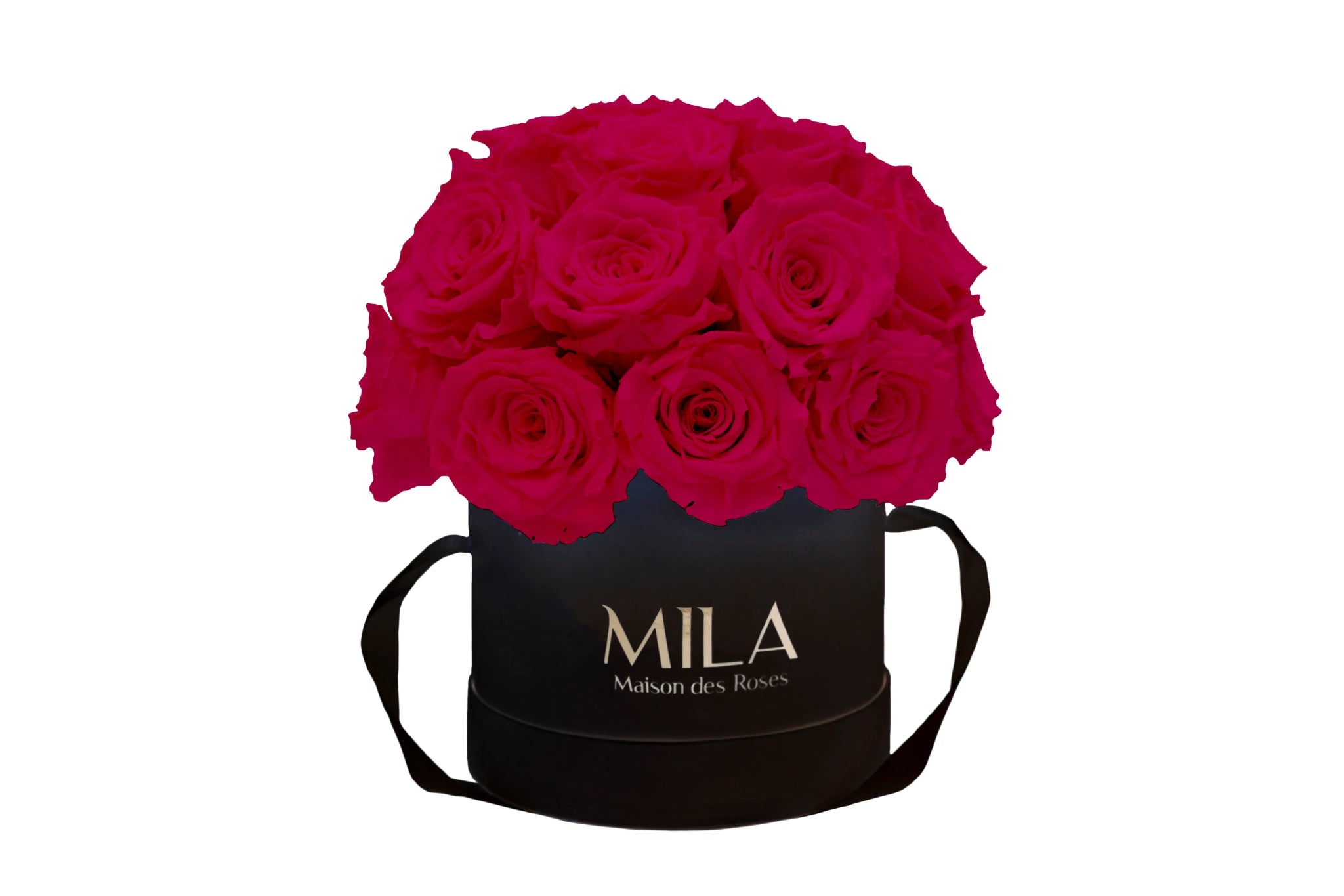 Mila Classique Small Dome - Mila Rose