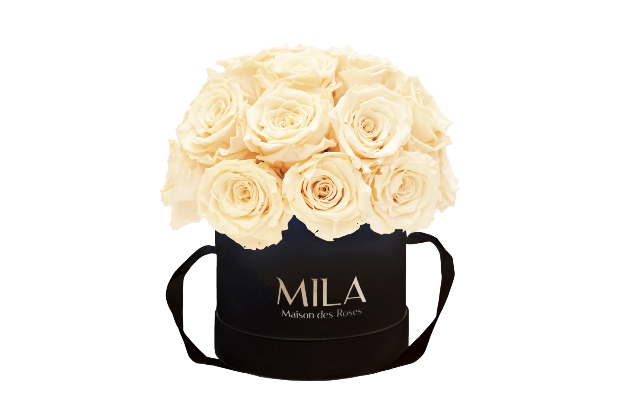 Mila Classique Small Dome - Mila Rose