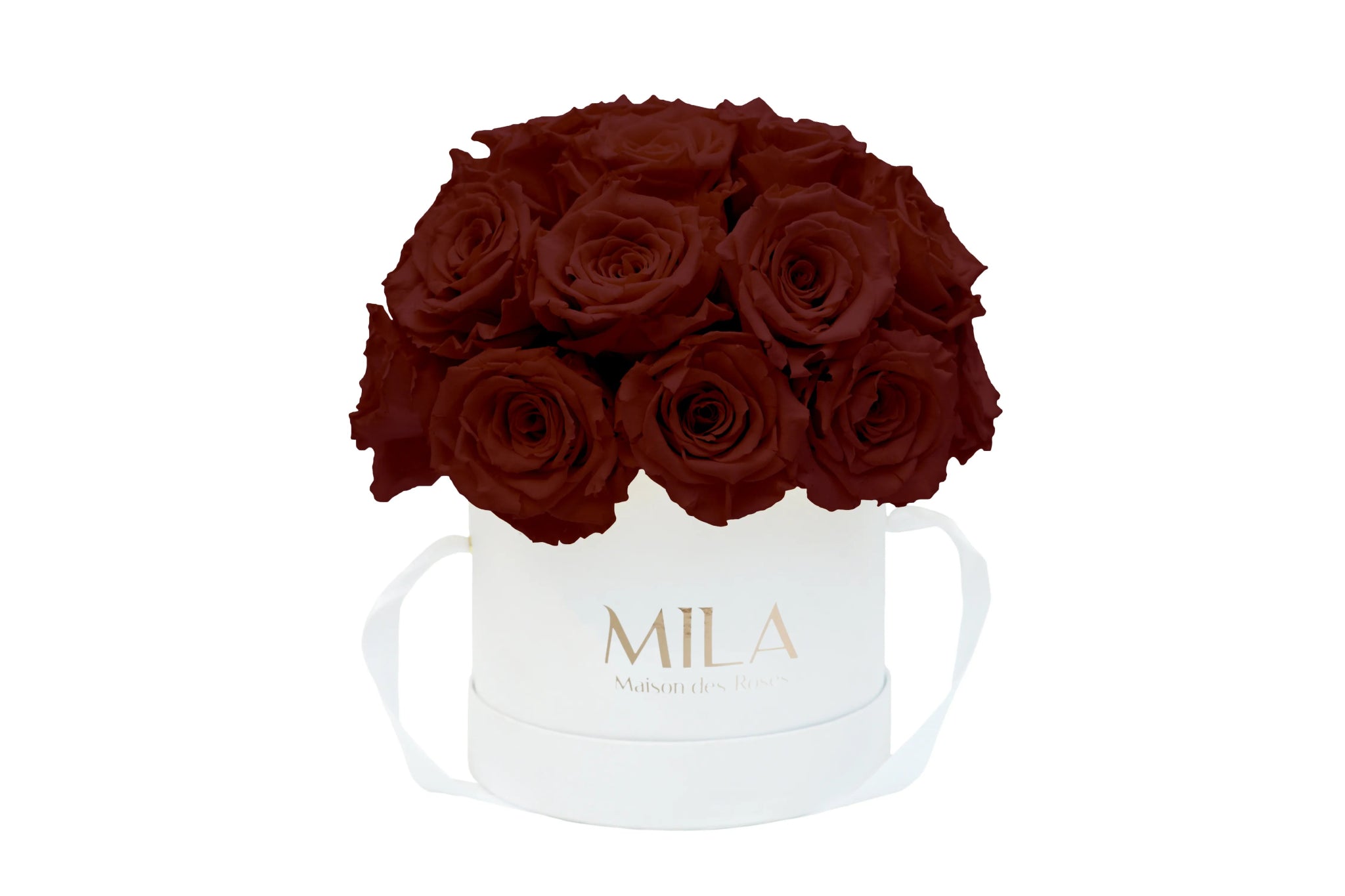 Mila Classique Small Dome - Mila Rose