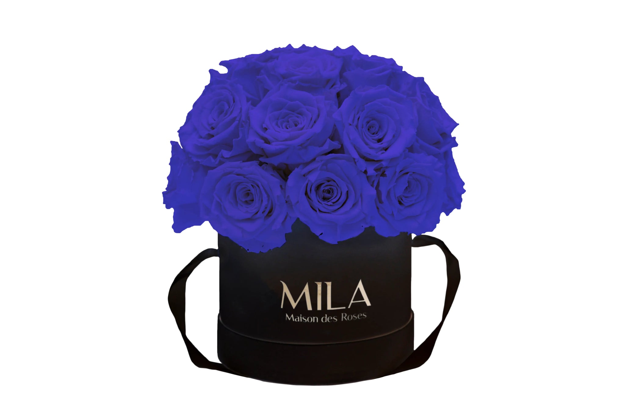 Mila Classique Small Dome - Mila Rose