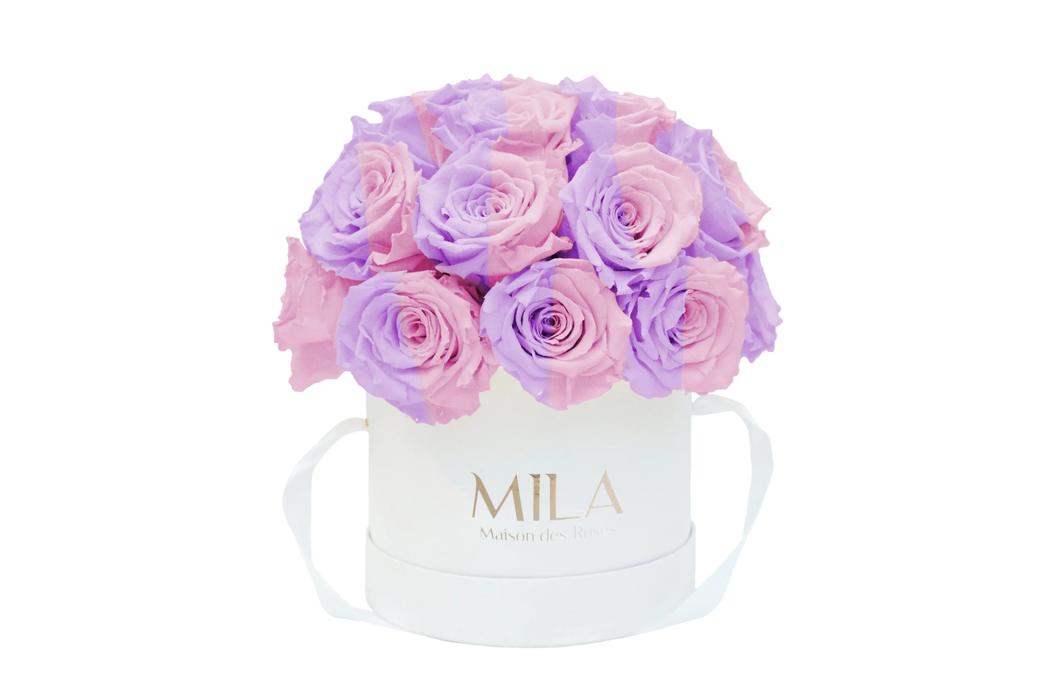 Mila Classique Small Dome - Mila Rose