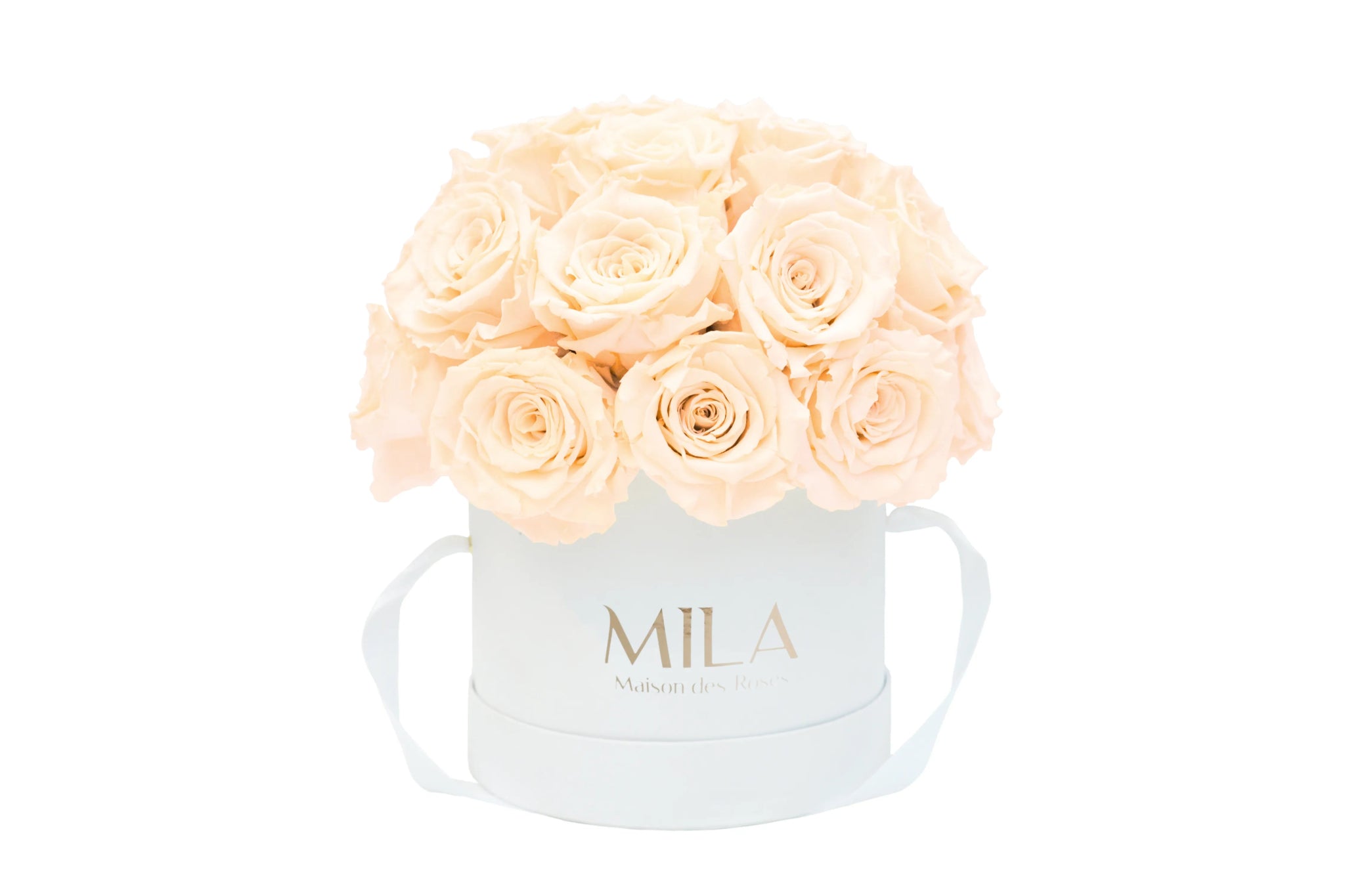 Mila Classique Small Dome - Mila Rose