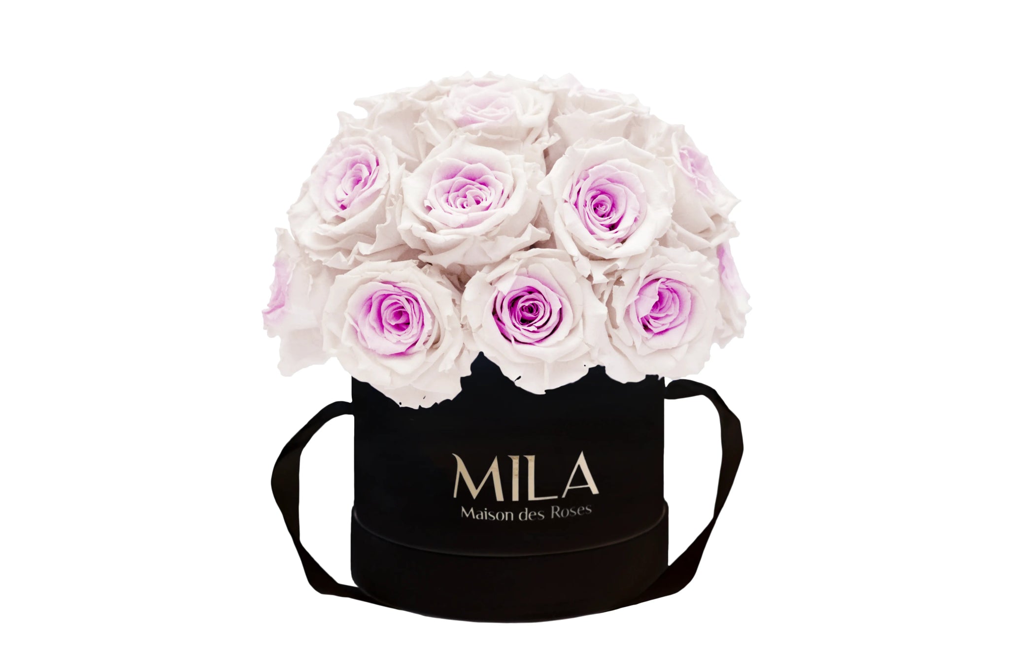 Mila Classique Small Dome - Mila Rose