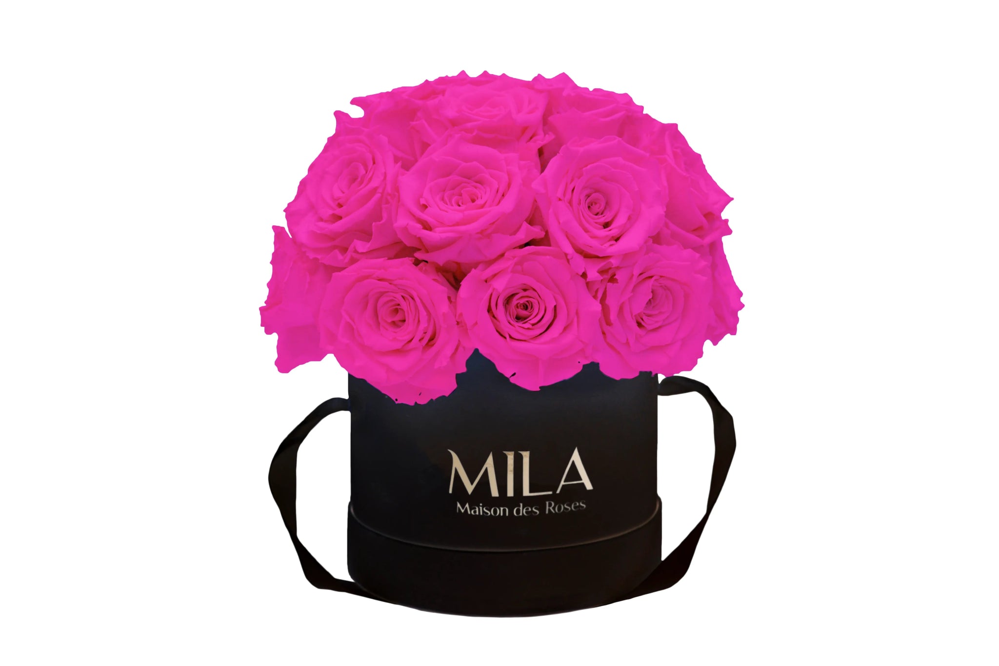Mila Classique Small Dome - Mila Rose