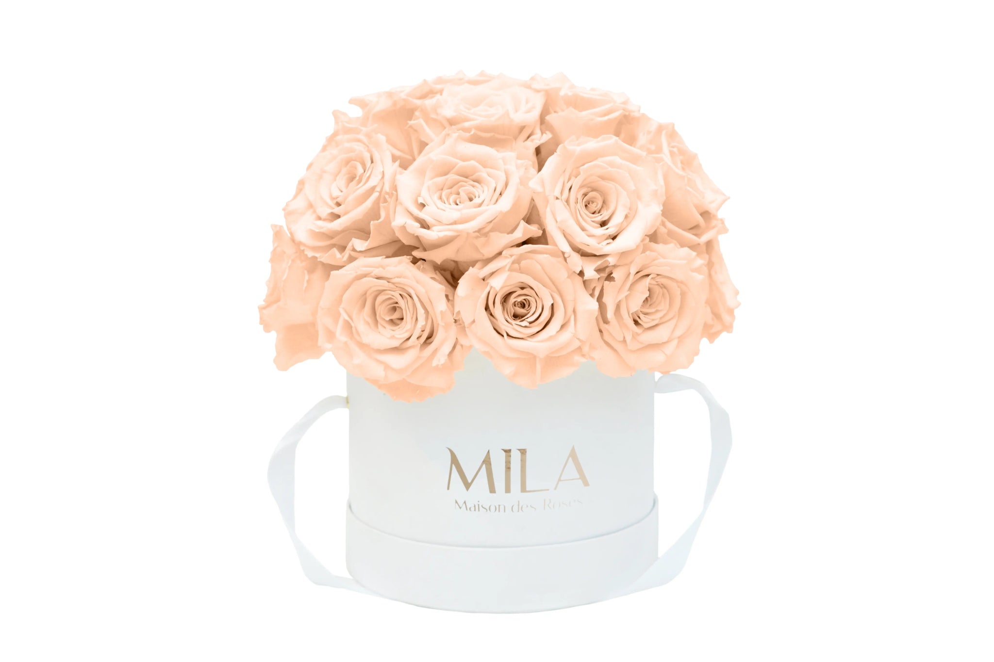 Mila Classique Small Dome - Mila Rose
