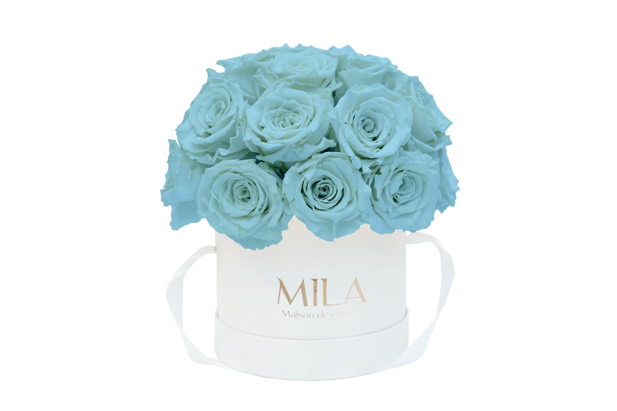 Mila Classique Small Dome - Mila Rose