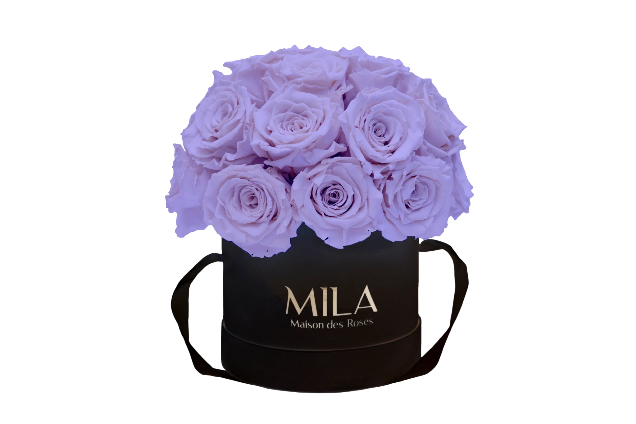 Mila Classique Small Dome - Mila Rose