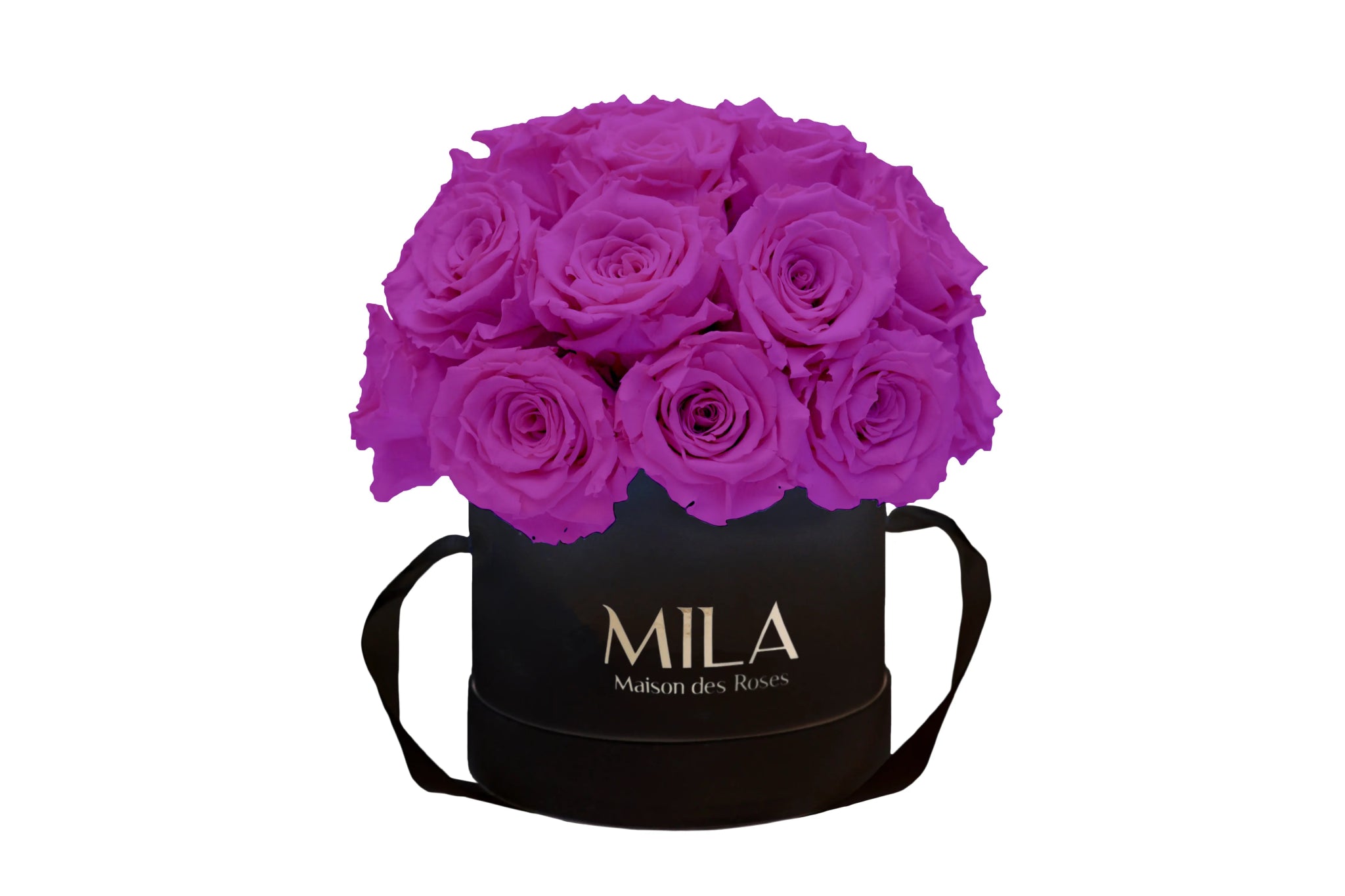 Mila Classique Small Dome - Mila Rose