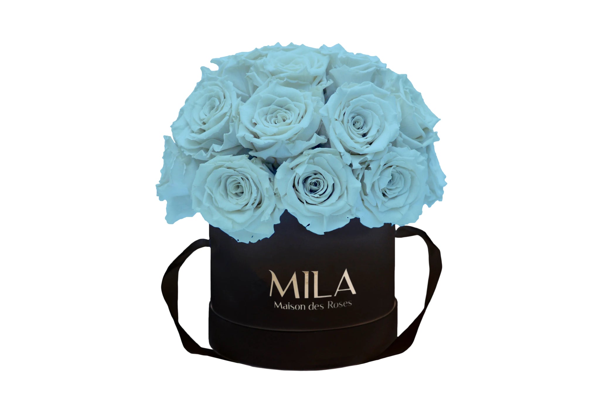 Mila Classique Small Dome - Mila Rose