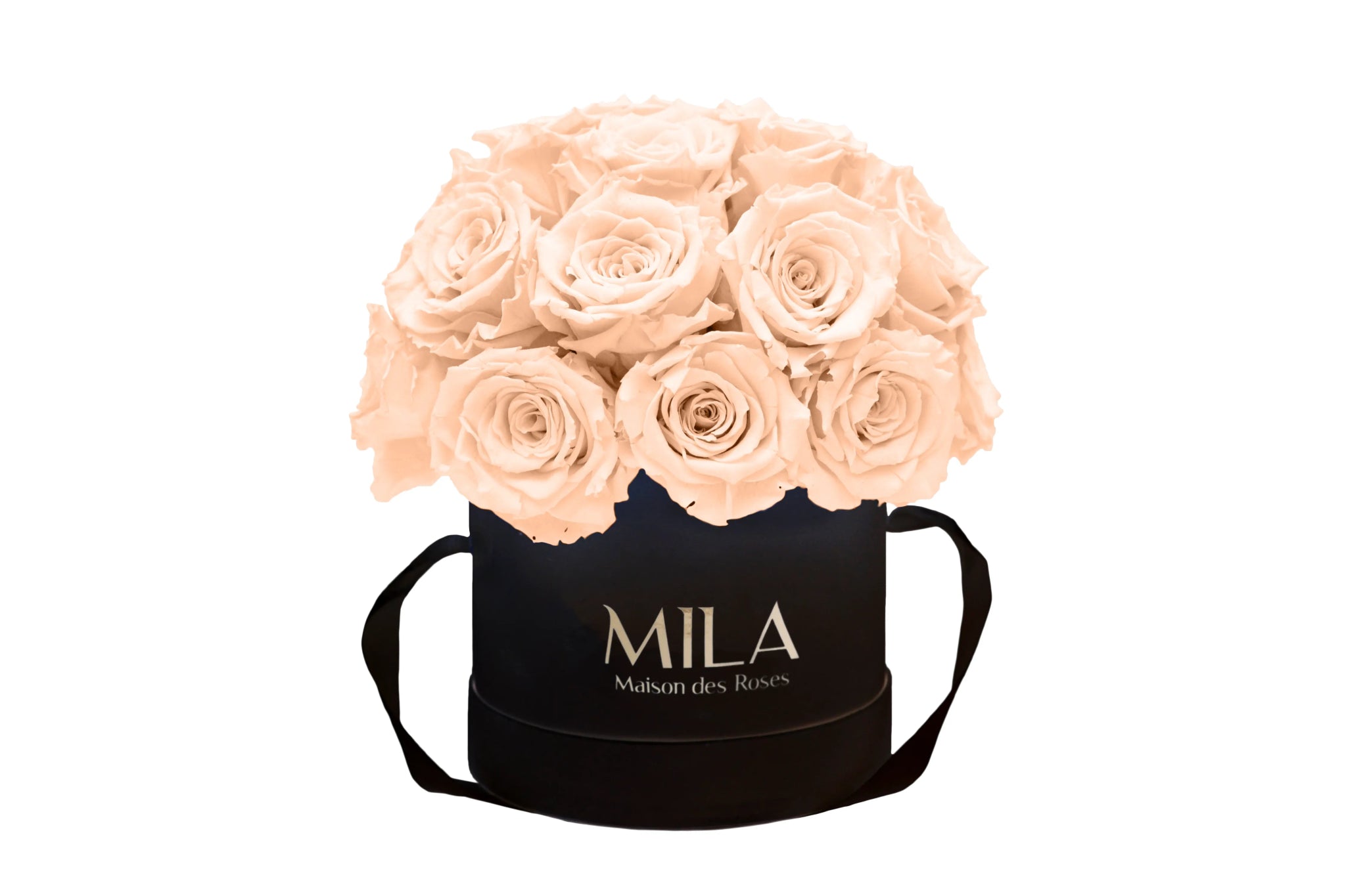 Mila Classique Small Dome - Mila Rose