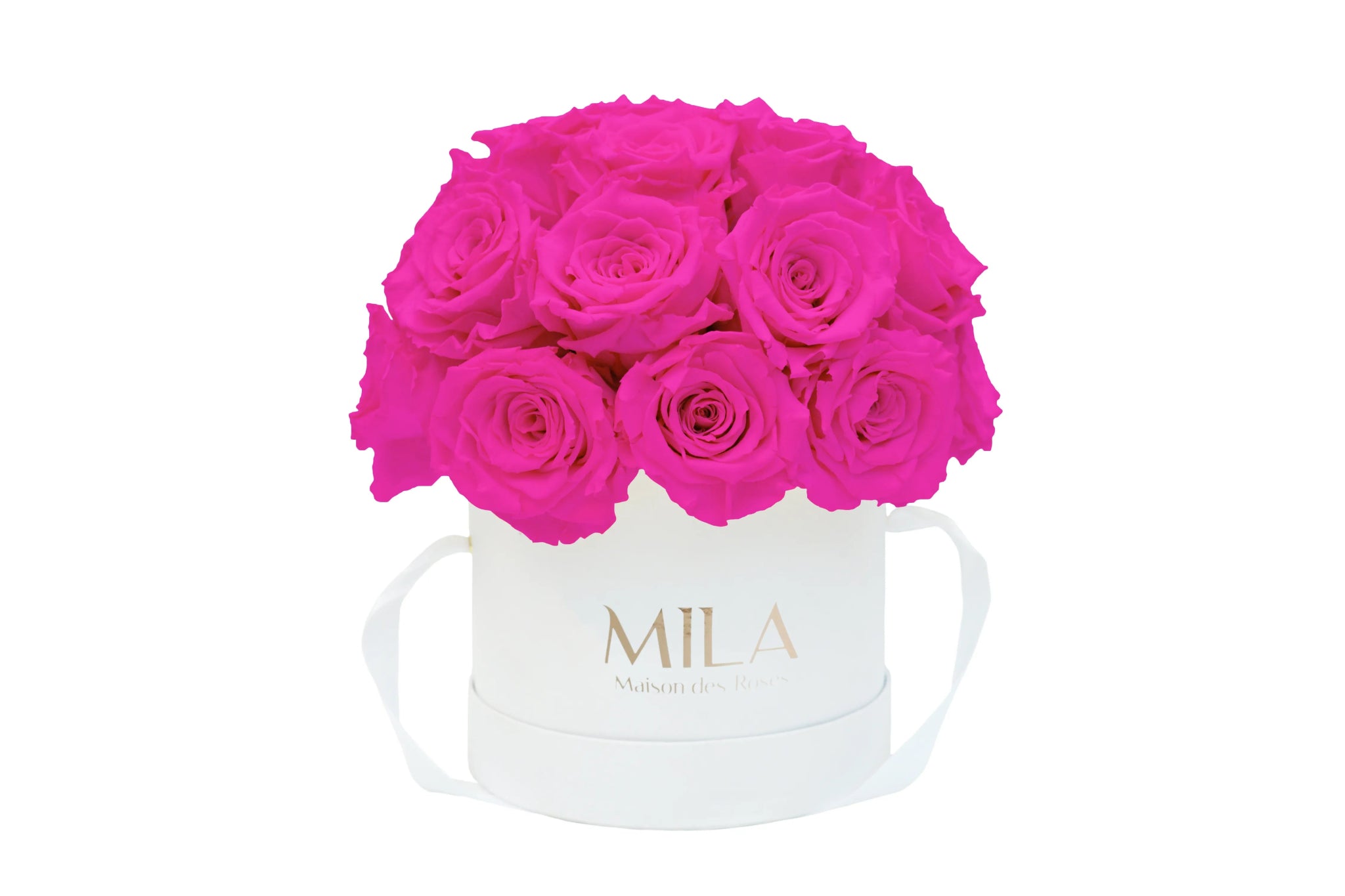 Mila Classique Small Dome - Mila Rose