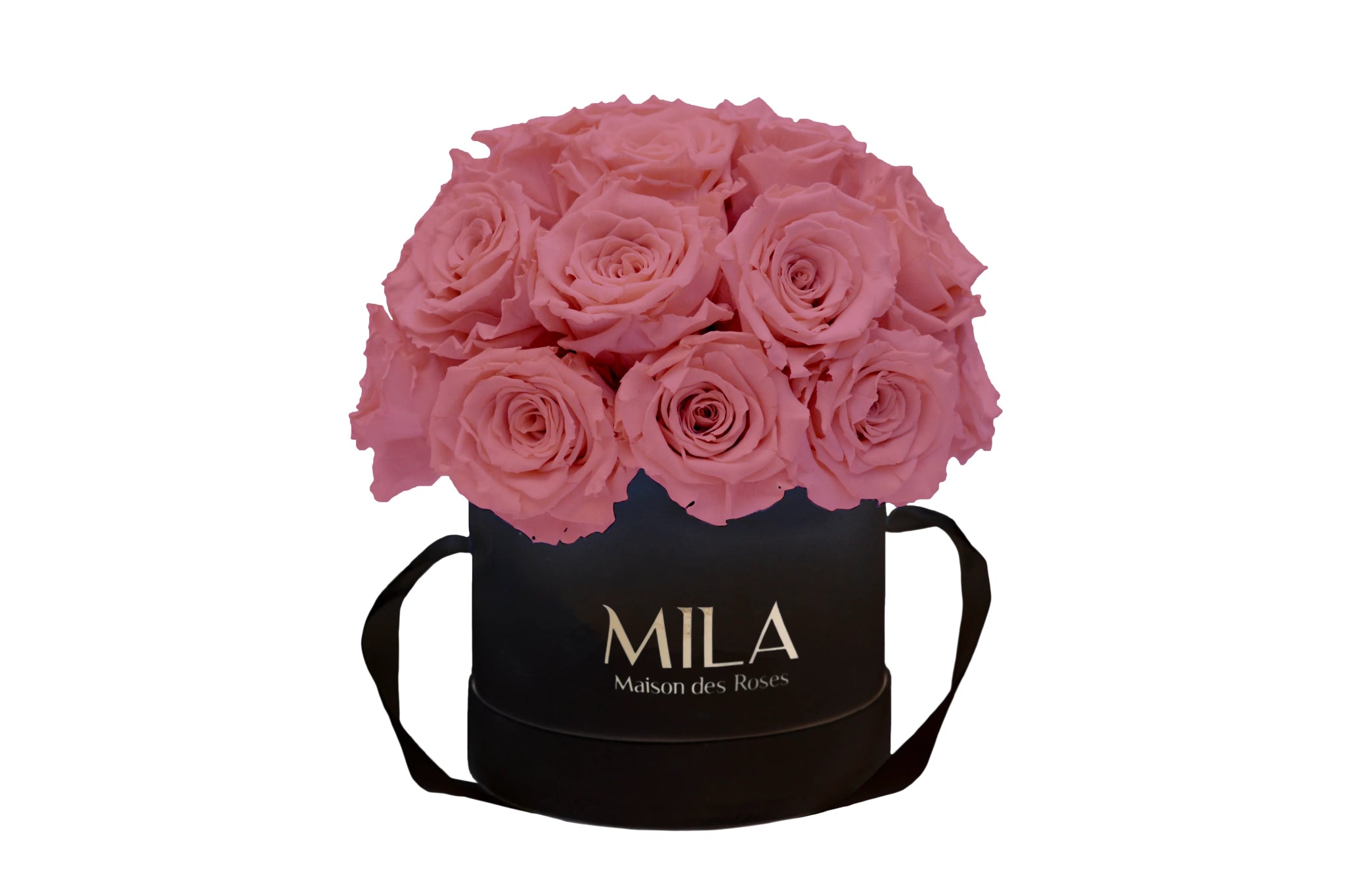 Mila Classique Small Dome - Mila Rose