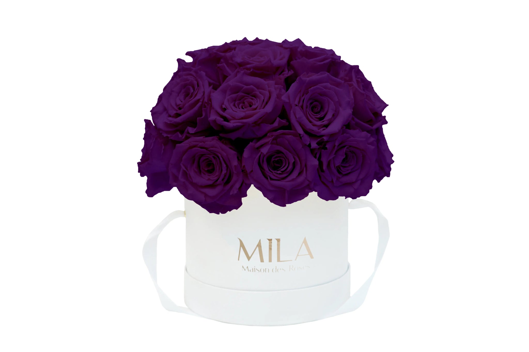 Mila Classique Small Dome - Mila Rose