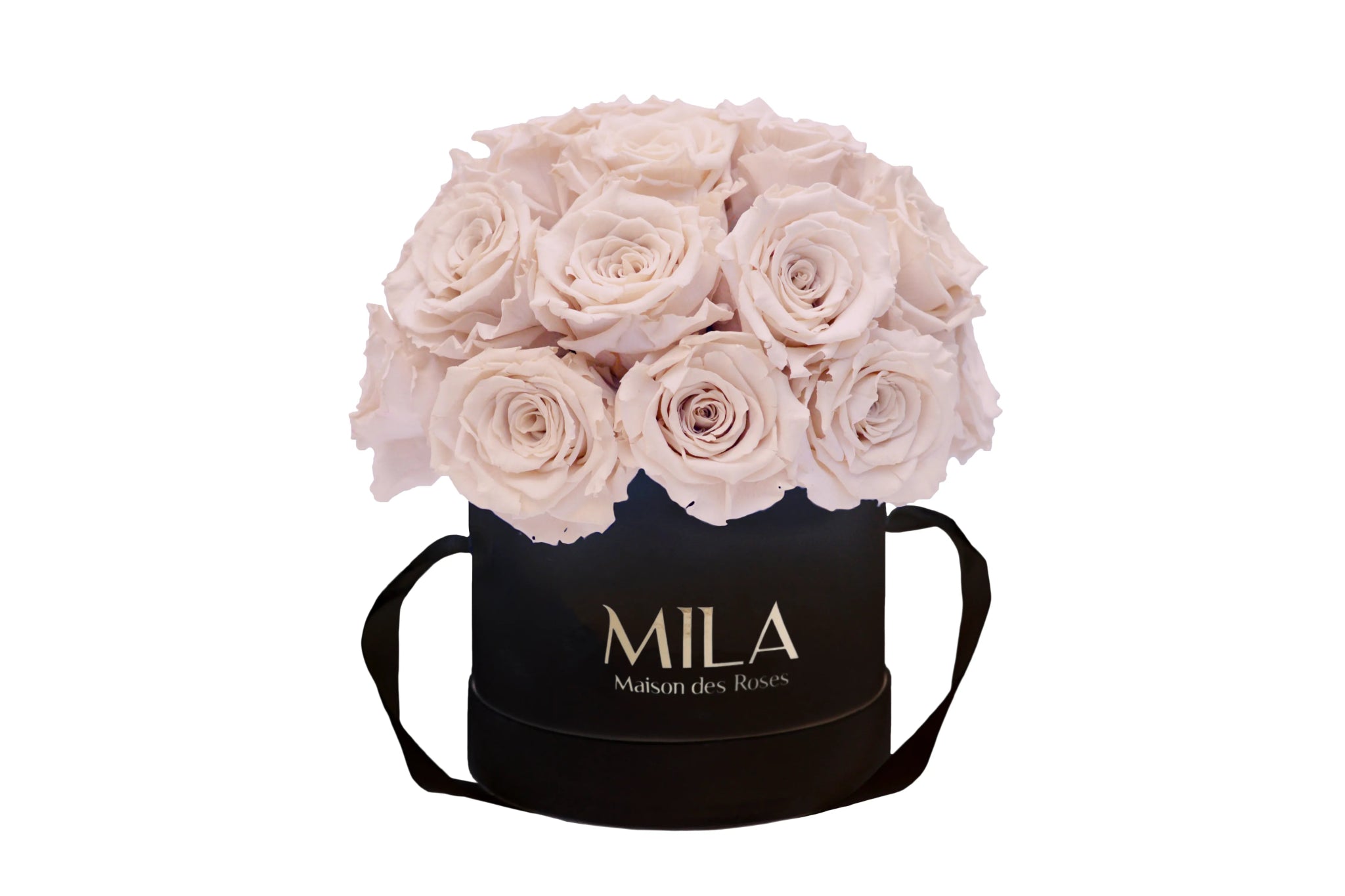 Mila Classique Small Dome - Mila Rose