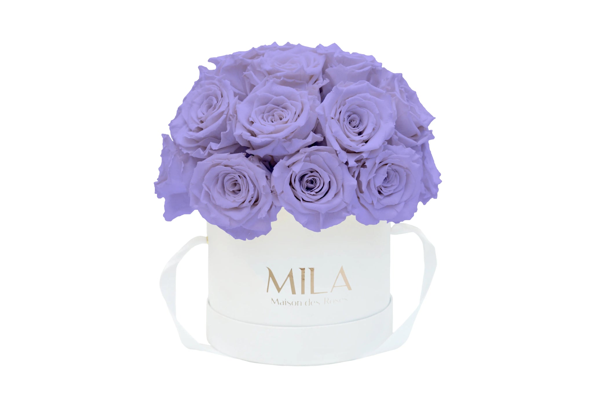 Mila Classique Small Dome - Mila Rose