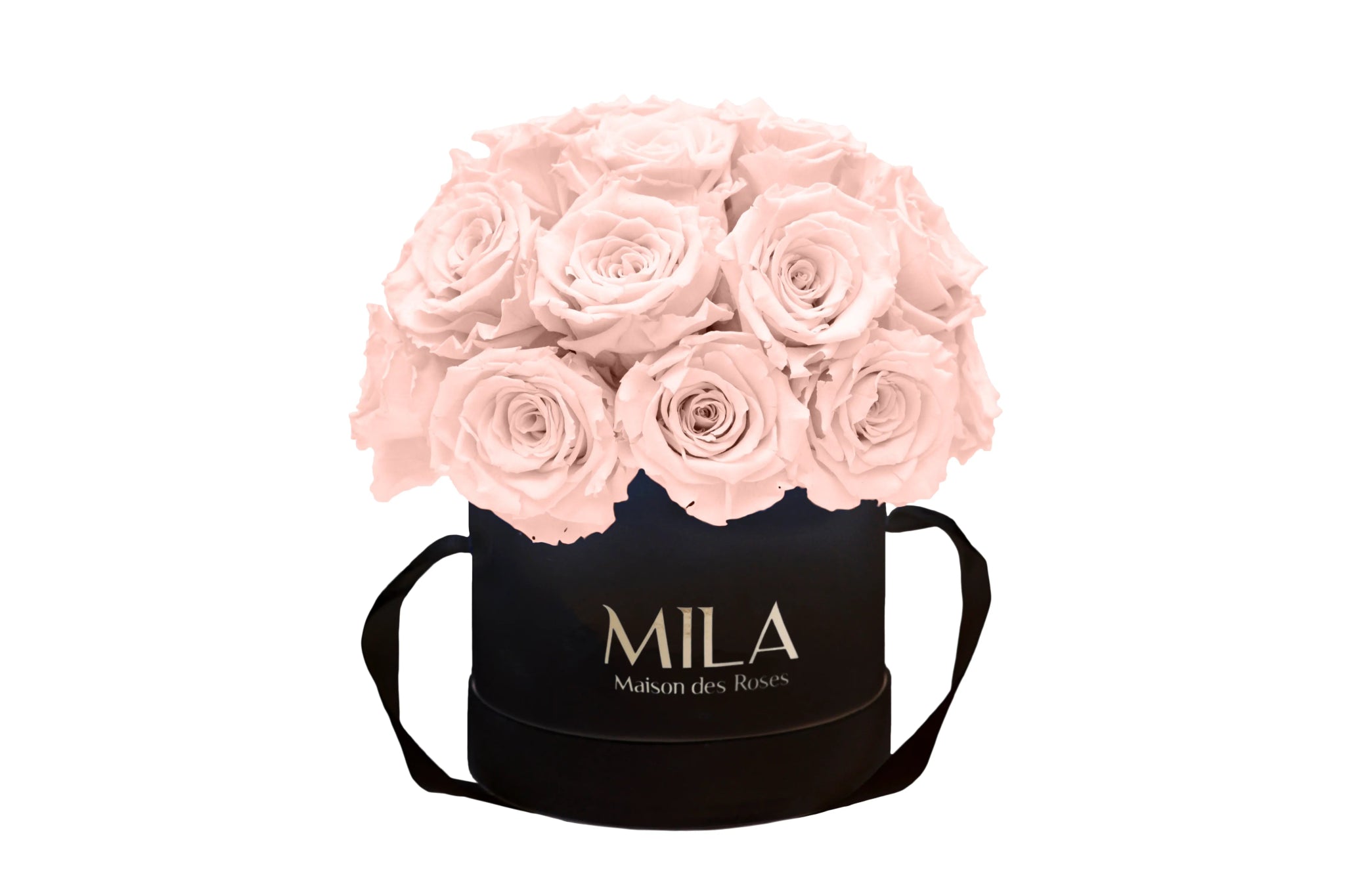 Mila Classique Small Dome - Mila Rose