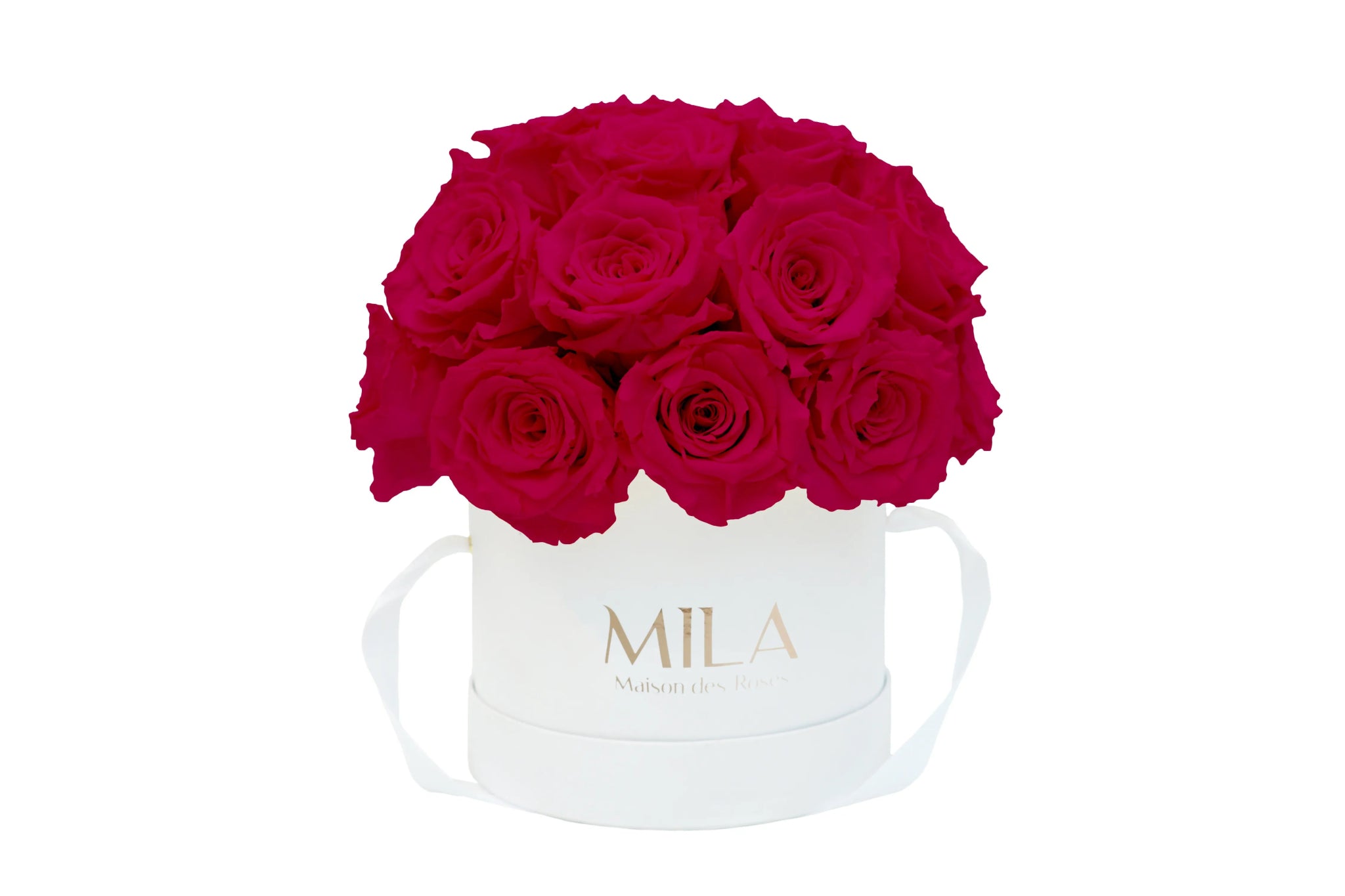 Mila Classique Small Dome - Mila Rose