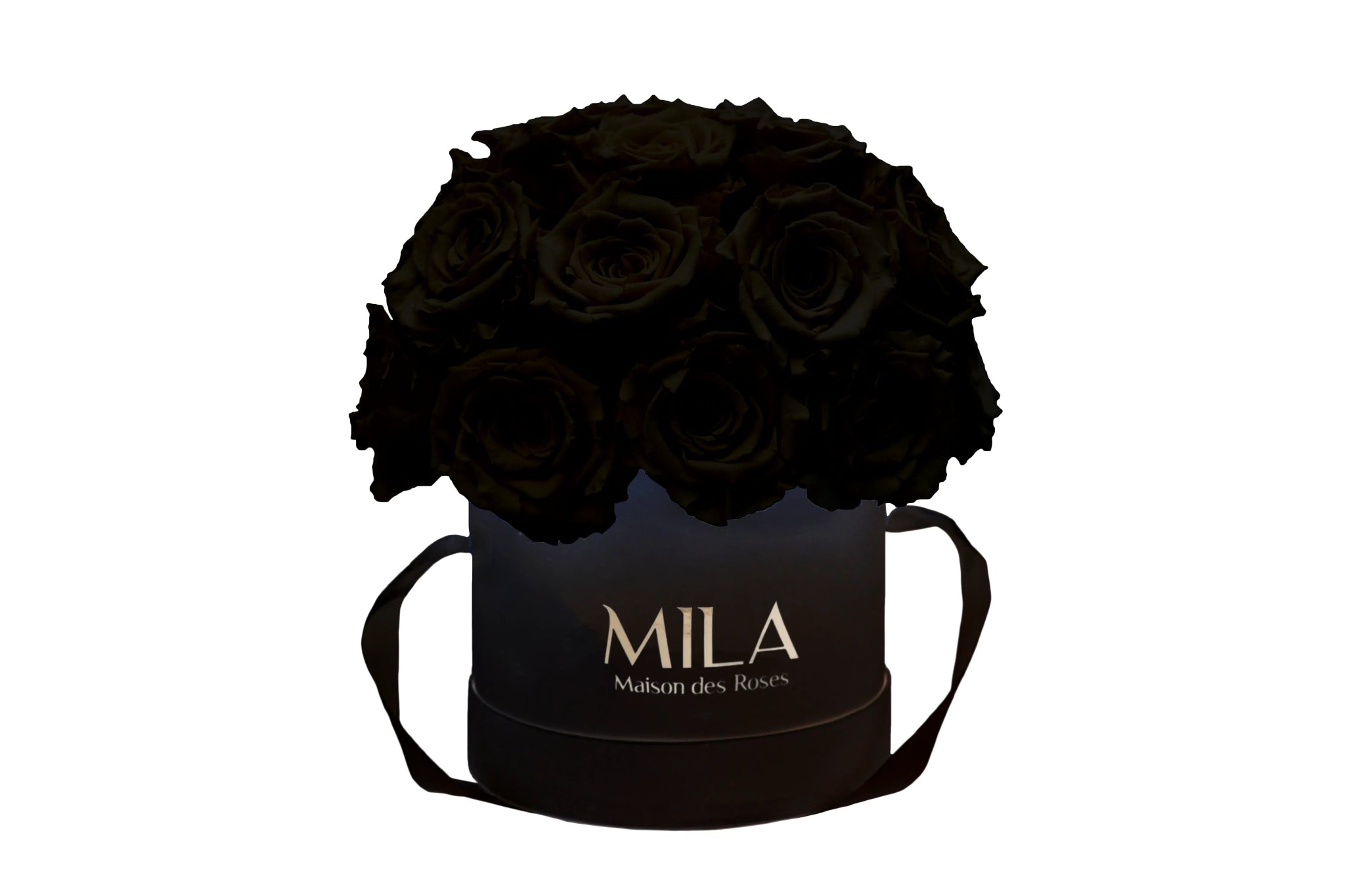 Mila Classique Small Dome - Mila Rose