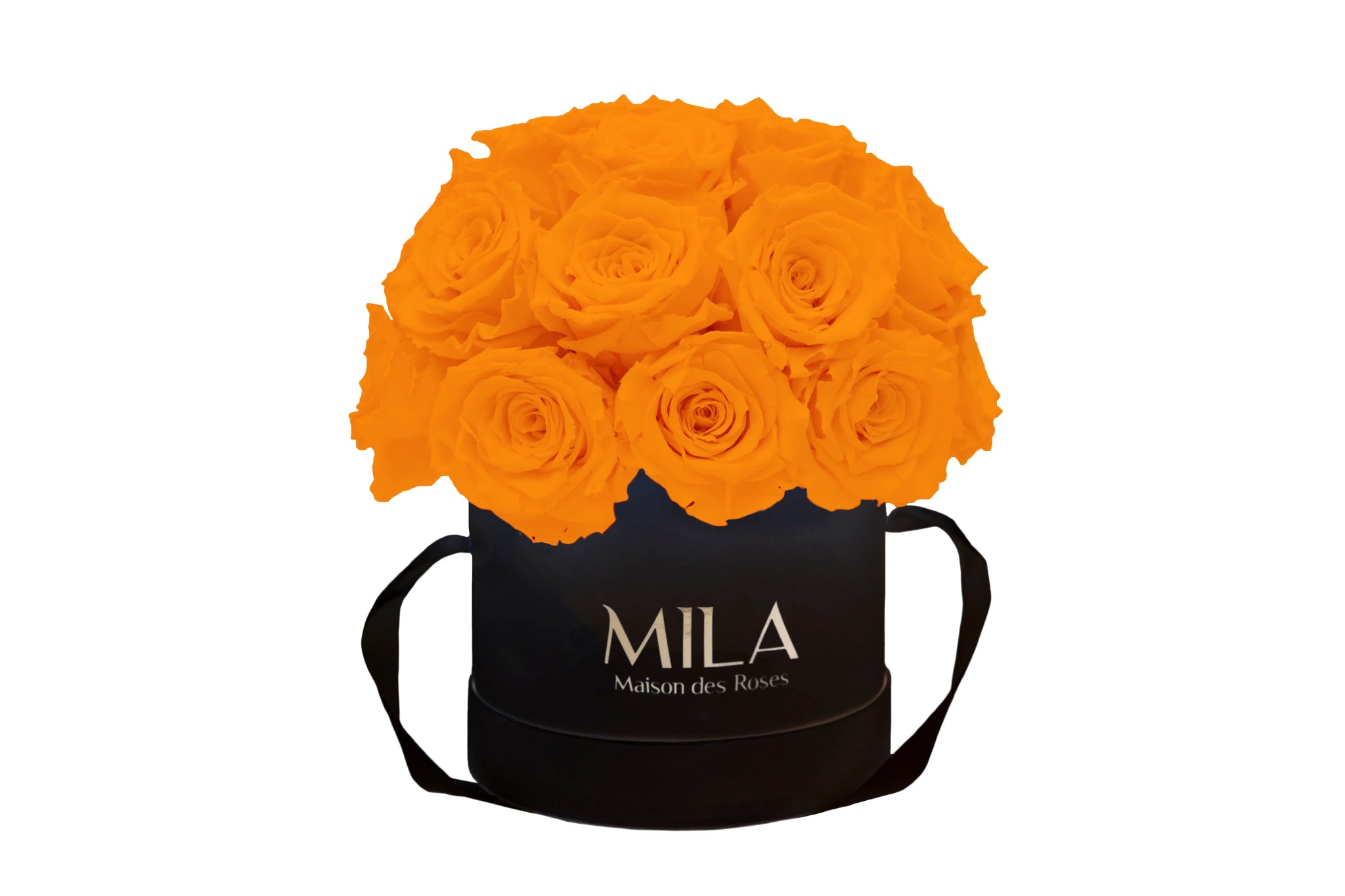 Mila Classique Small Dome - Mila Rose