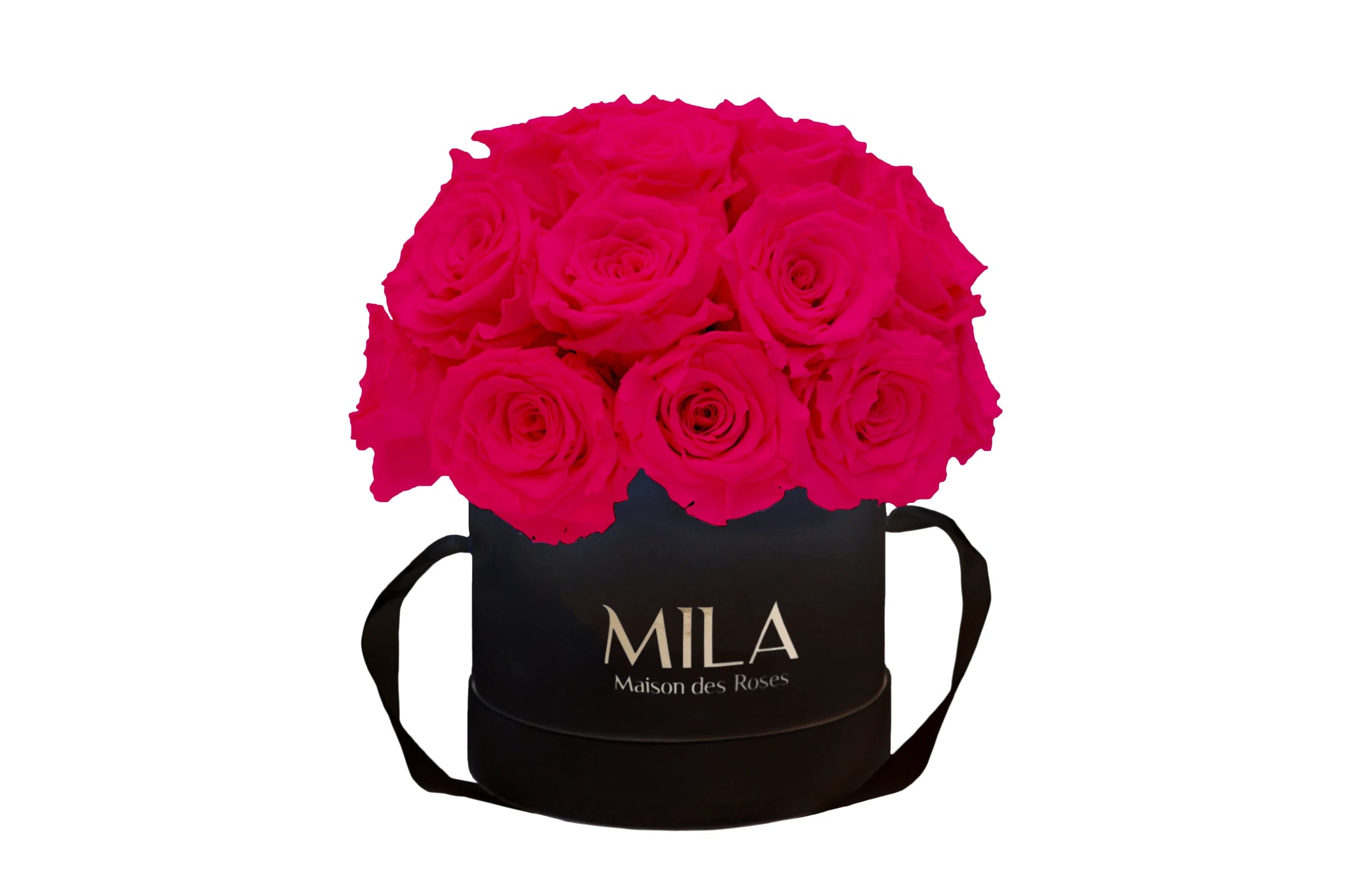 Mila Classique Small Dome - Mila Rose