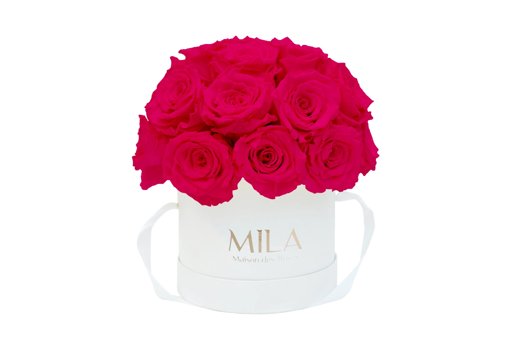 Mila Classique Small Dome - Mila Rose