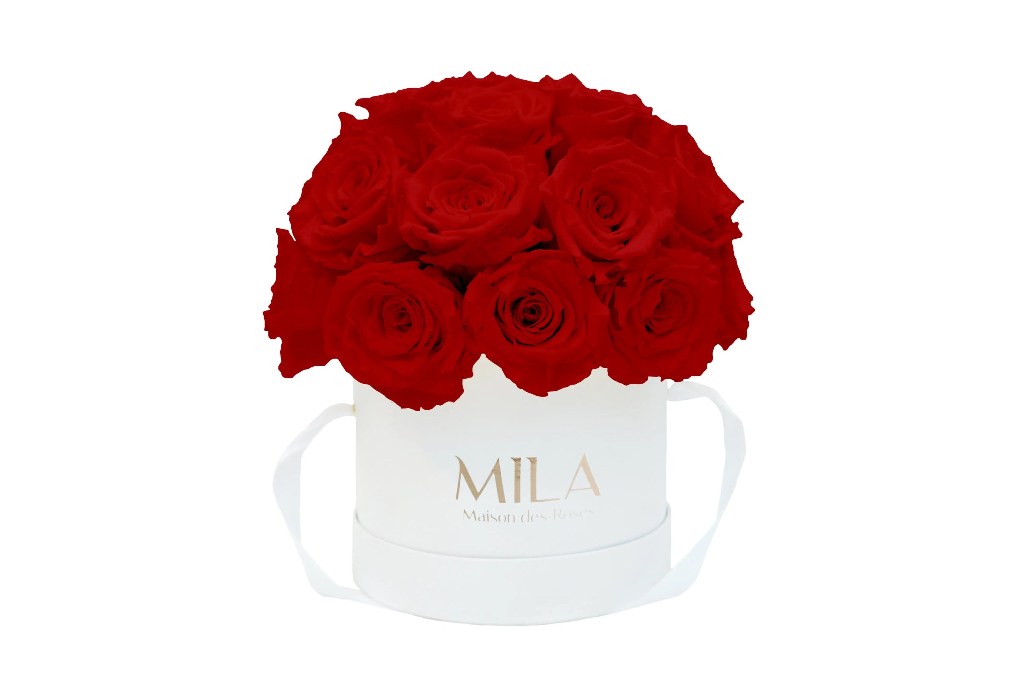 Mila Classique Small Dome - Mila Rose