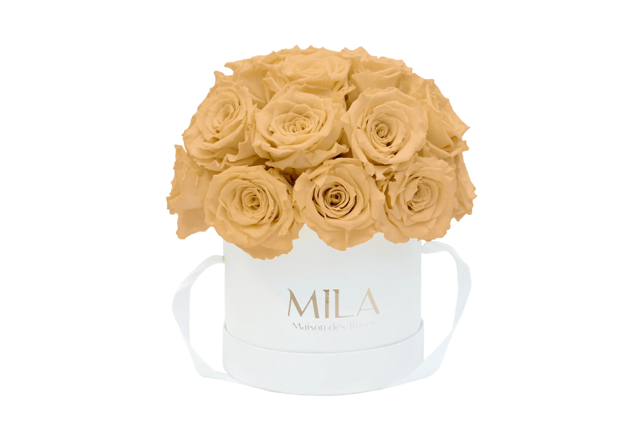 Mila Classique Small Dome - Mila Rose