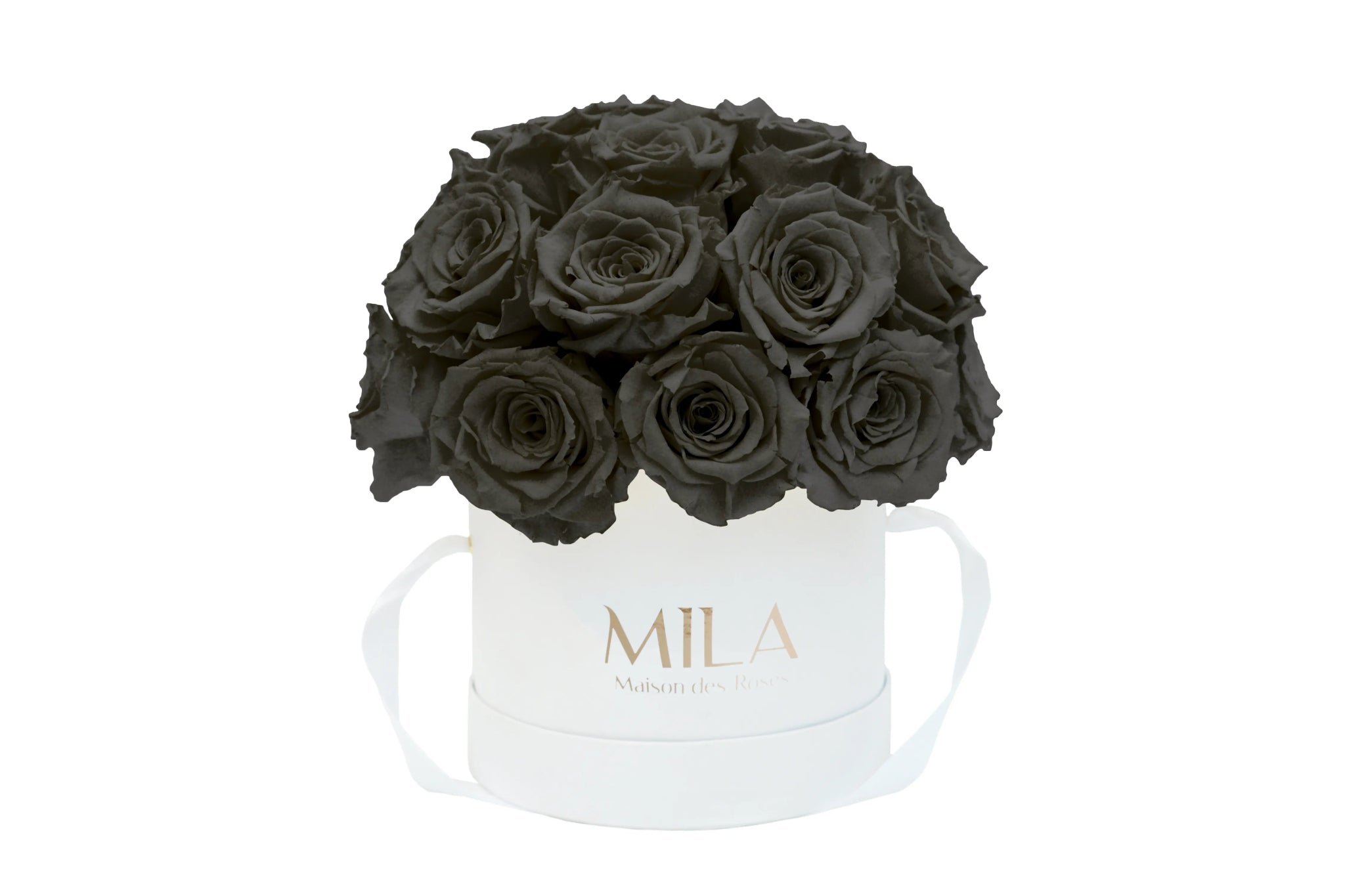 Mila Classique Small Dome - Mila Rose
